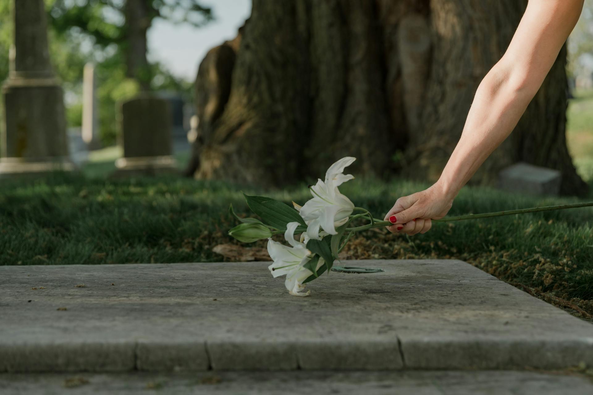 Une femme qui dépose des fleurs sur une tombe | Source : Pexels