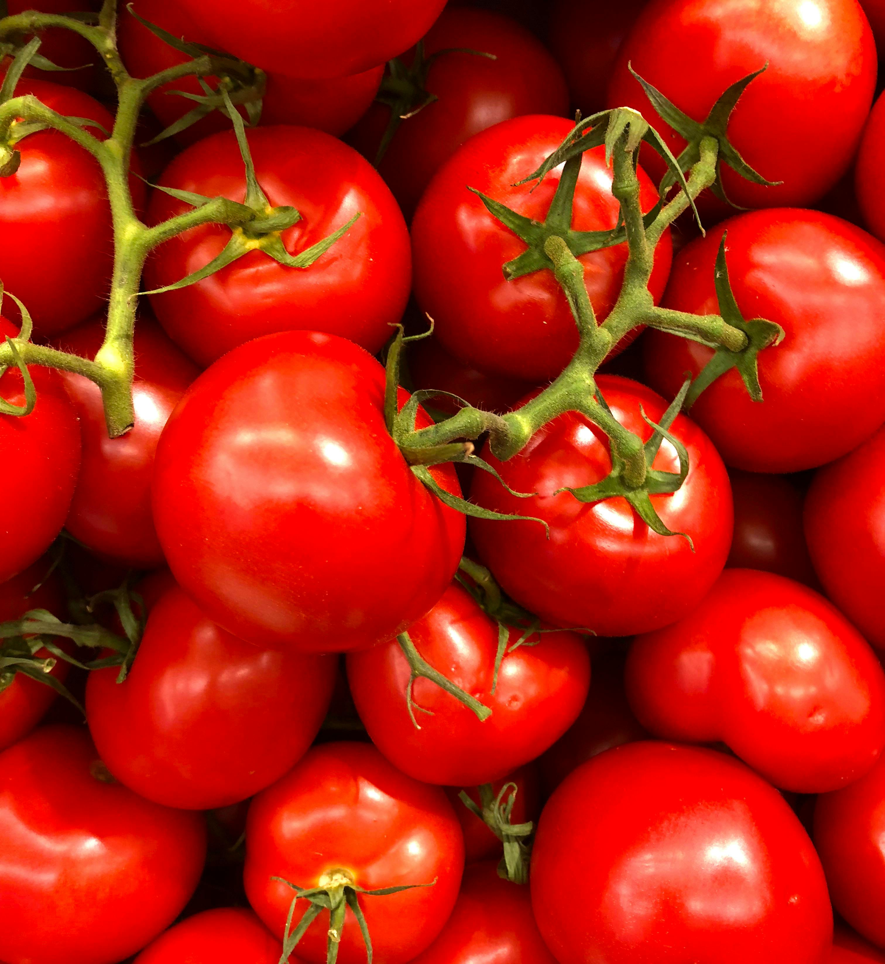 Gros plan sur des tomates fraîches | Source : Pexels