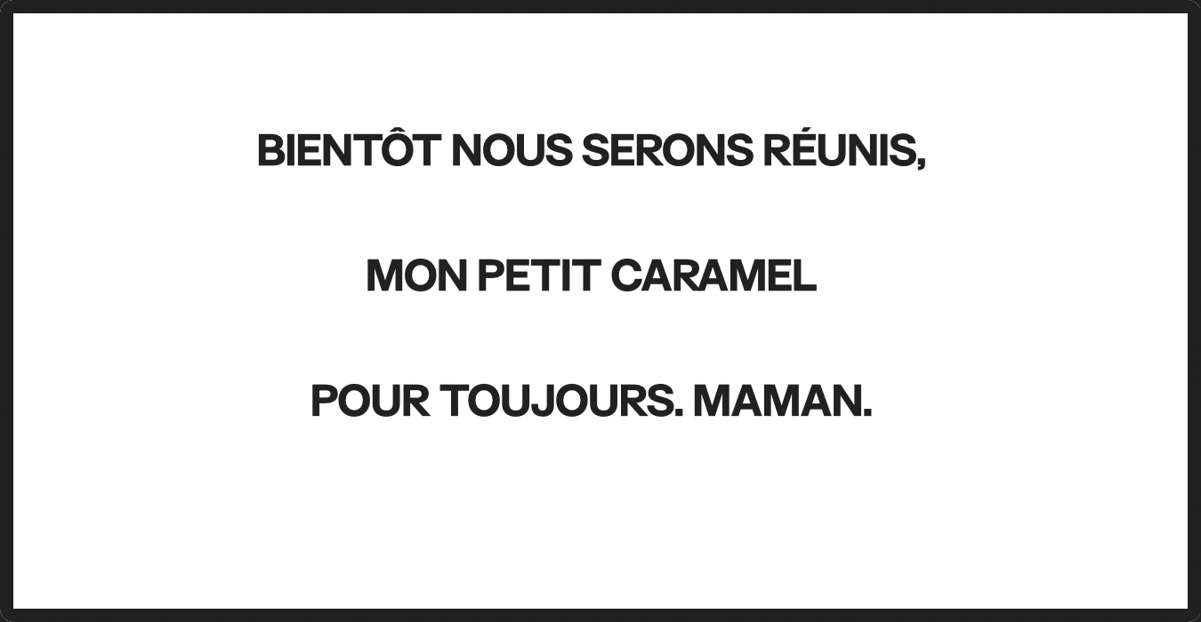 À titre d'illustration uniquement | Source : Ozdomedia