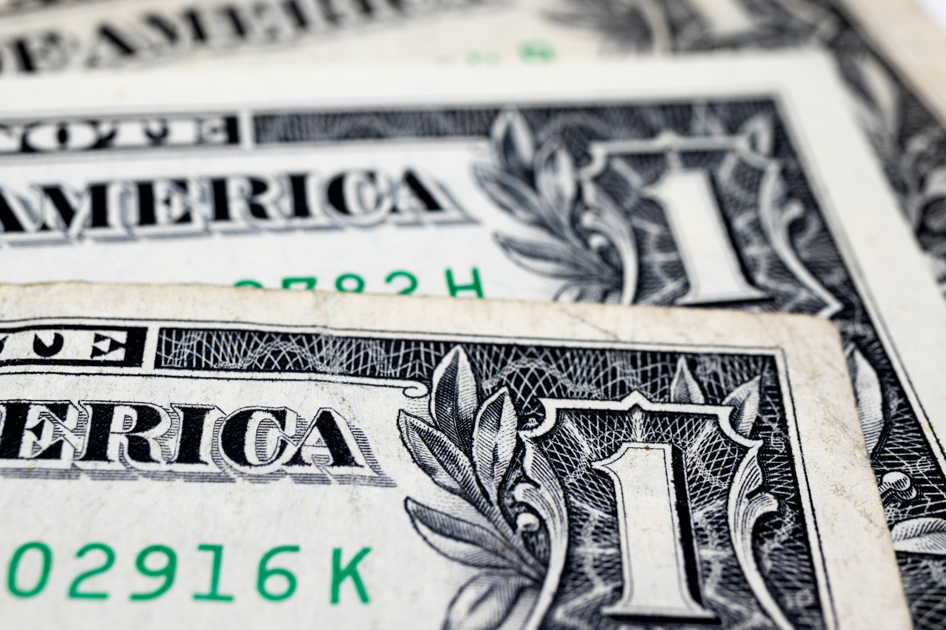 Gros plan sur des billets de banque | Source : Unsplash