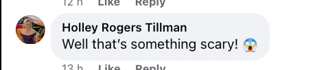 Commentaire d'un utilisateur sur l'article de People daté du 17 juin 2024 | Source : facebook/people