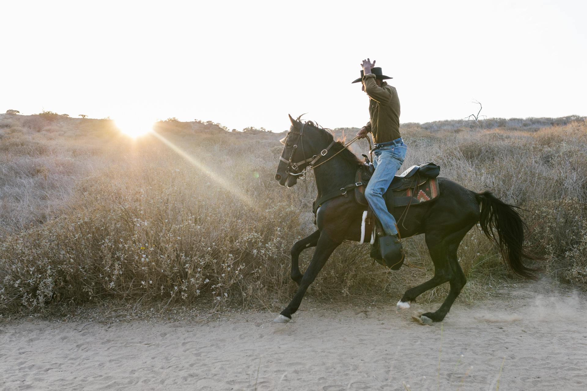 Un cow-boy à cheval | Source : Pexels