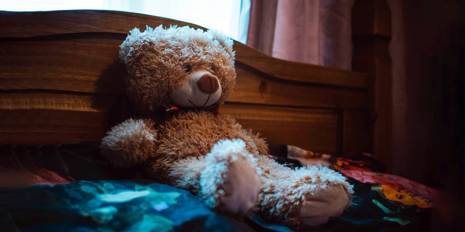 Un ours en peluche | Source : Pexels