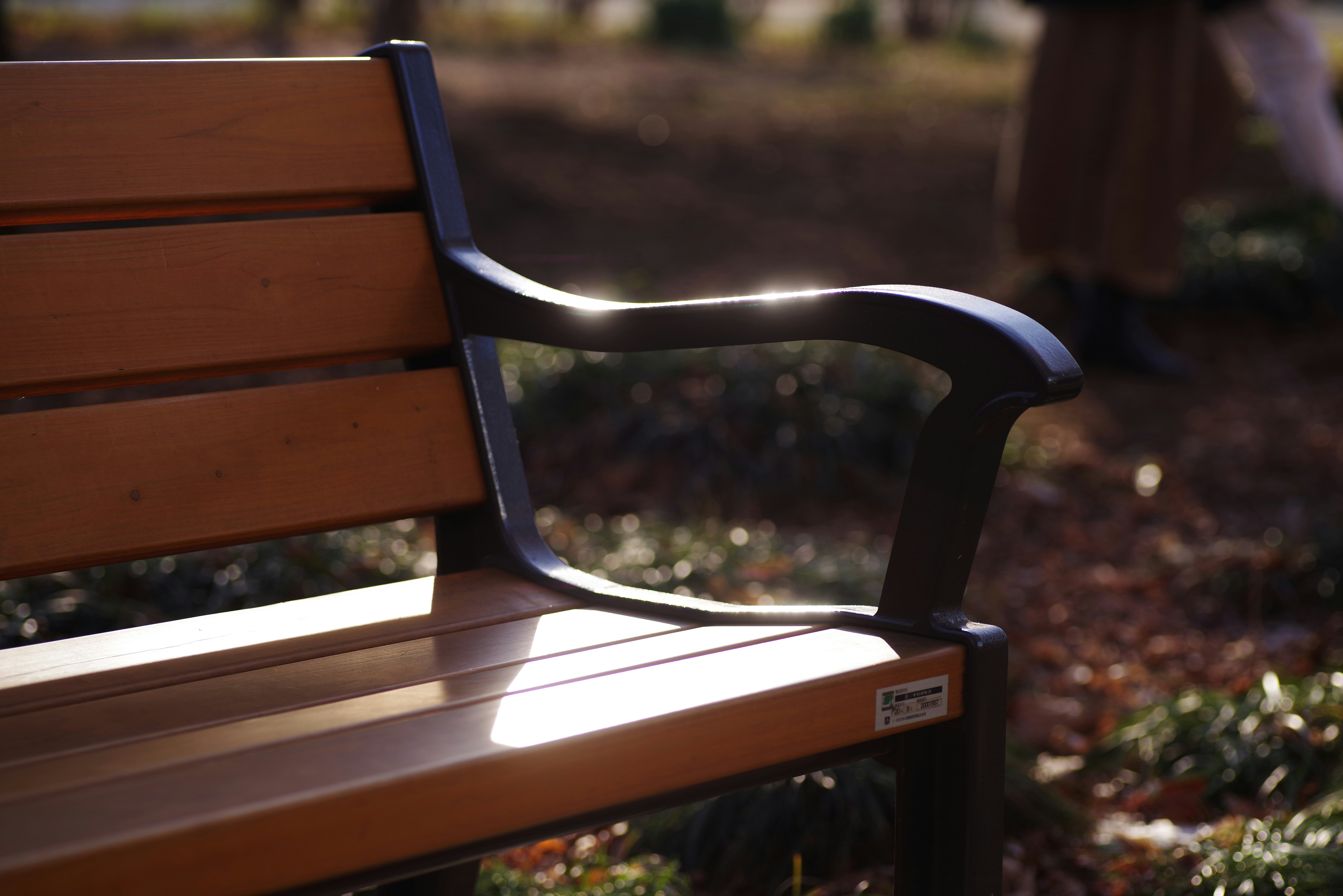 Un banc dans un parc | Source : Unsplash