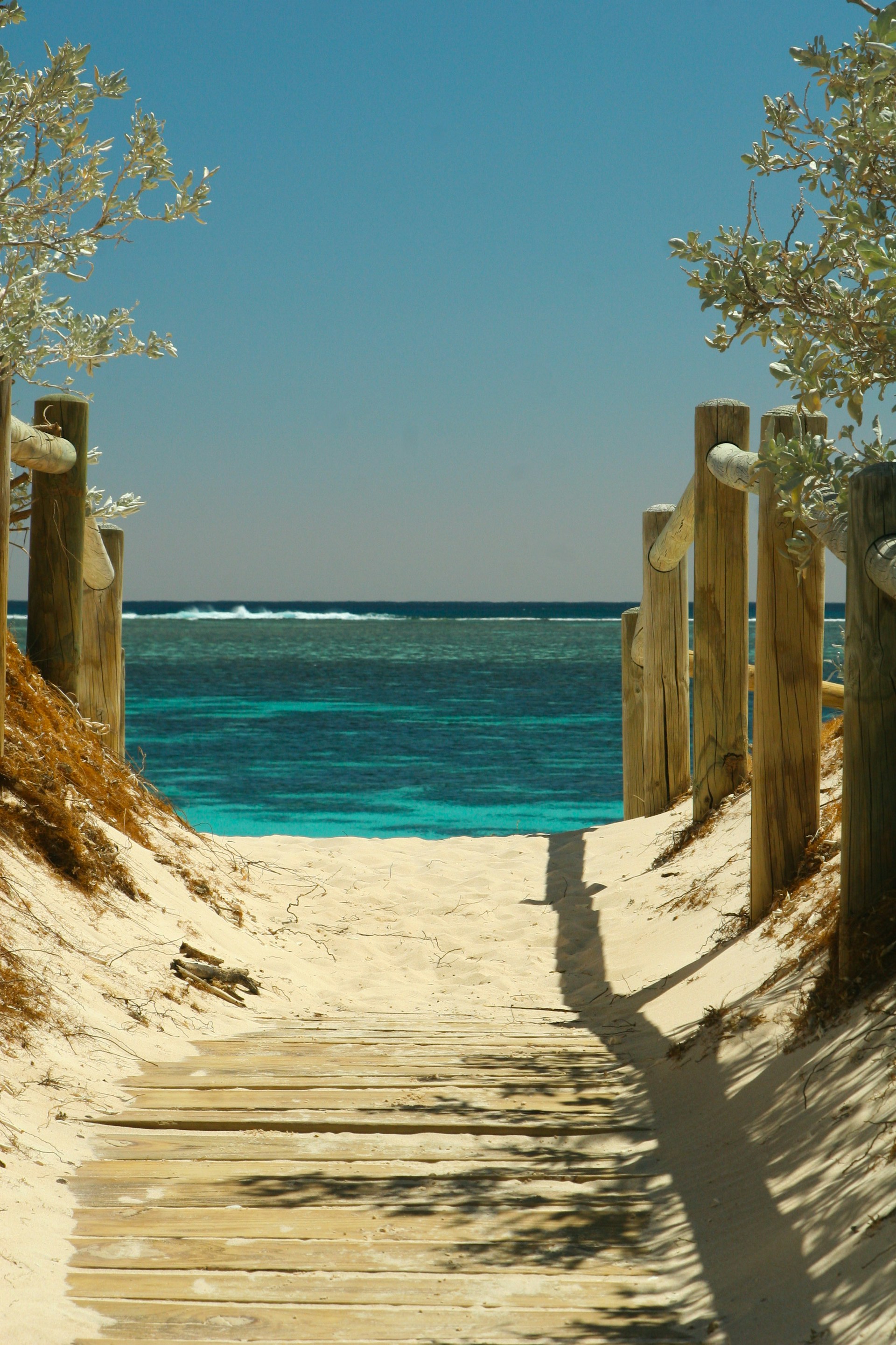 Un sentier vers la plage | Source : Unsplash