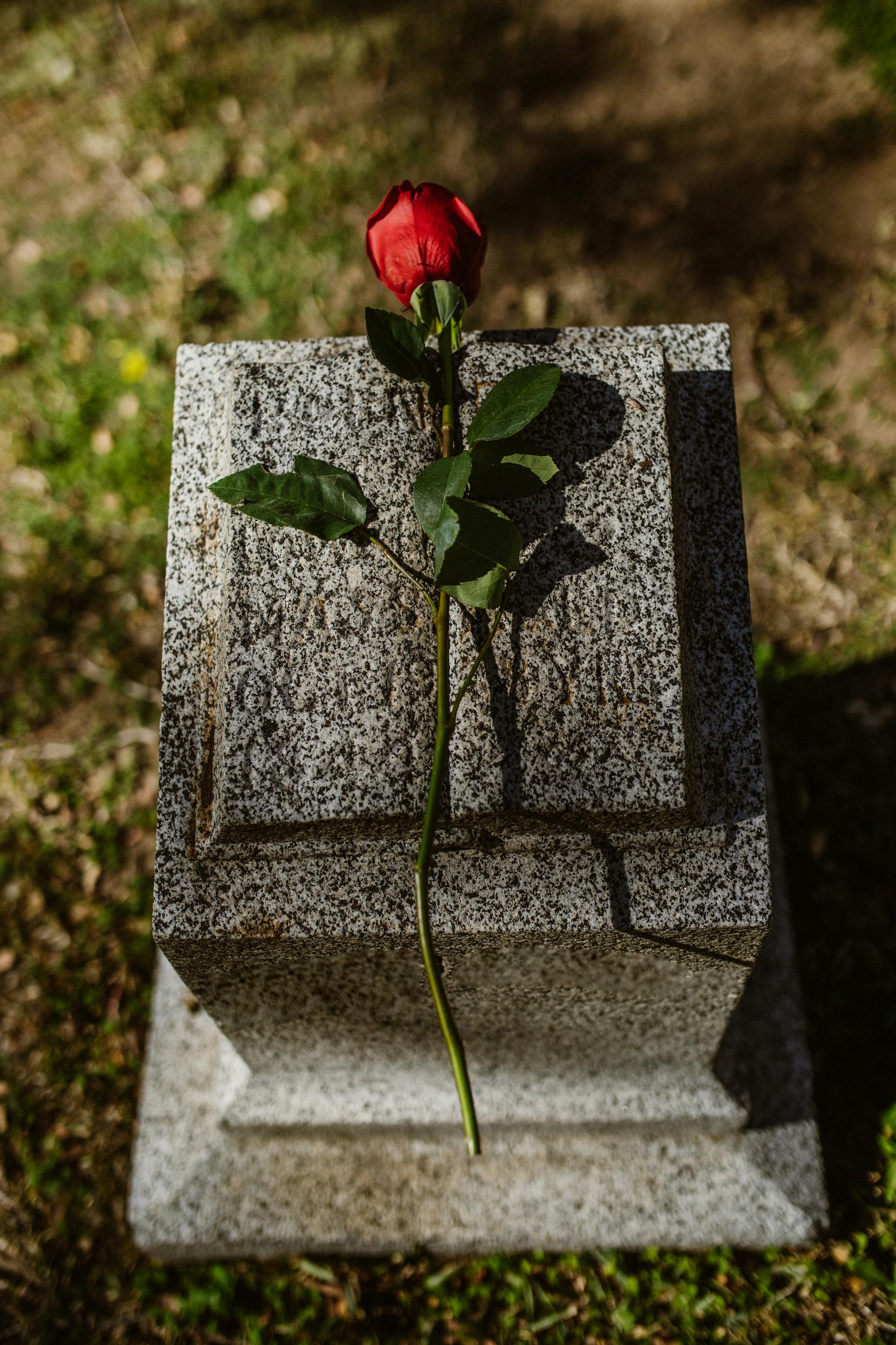 Une rose rouge posée sur une pierre tombale | Source : Pexels