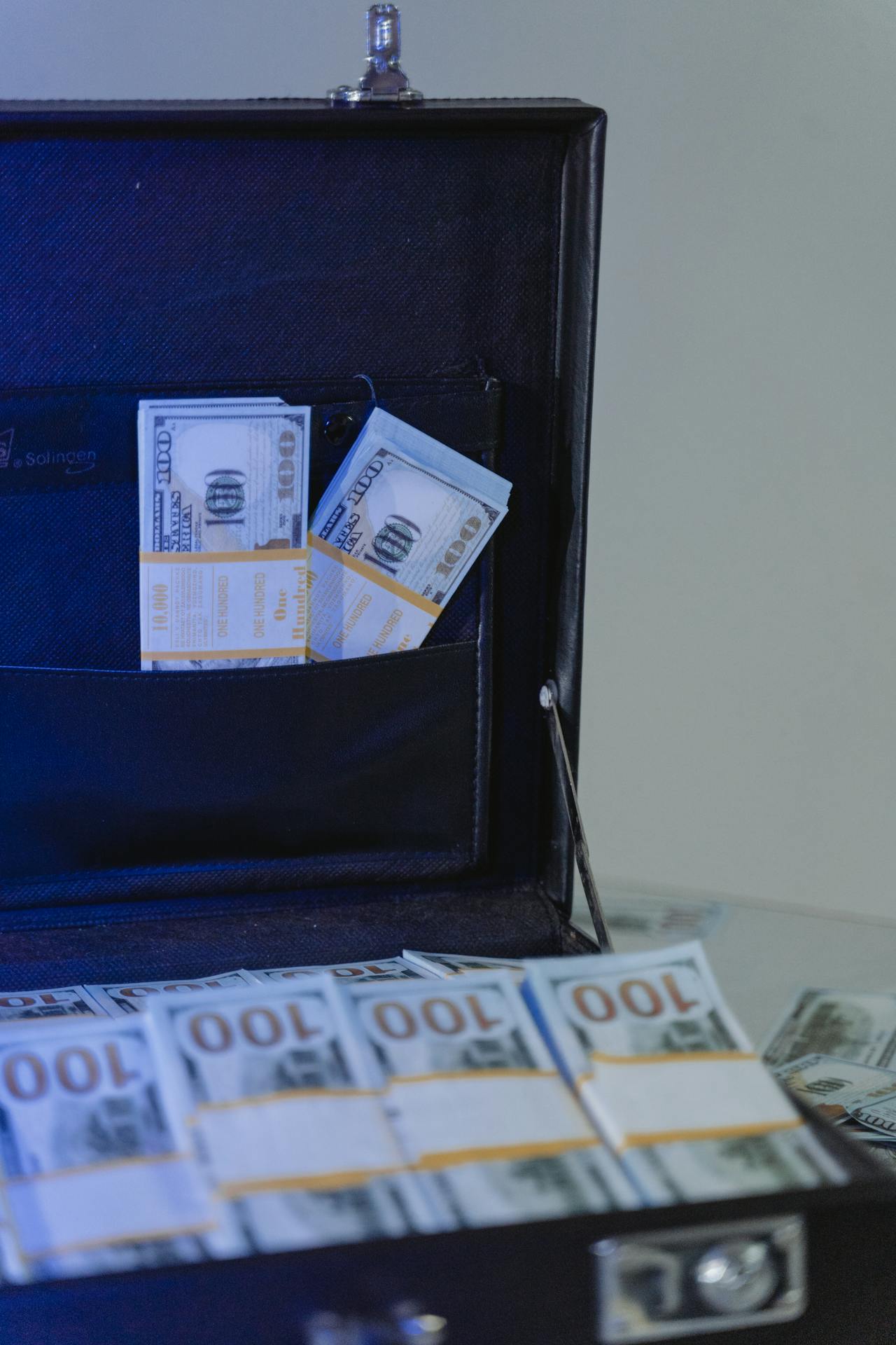 Billets de banque dans une mallette | Source : Pexels
