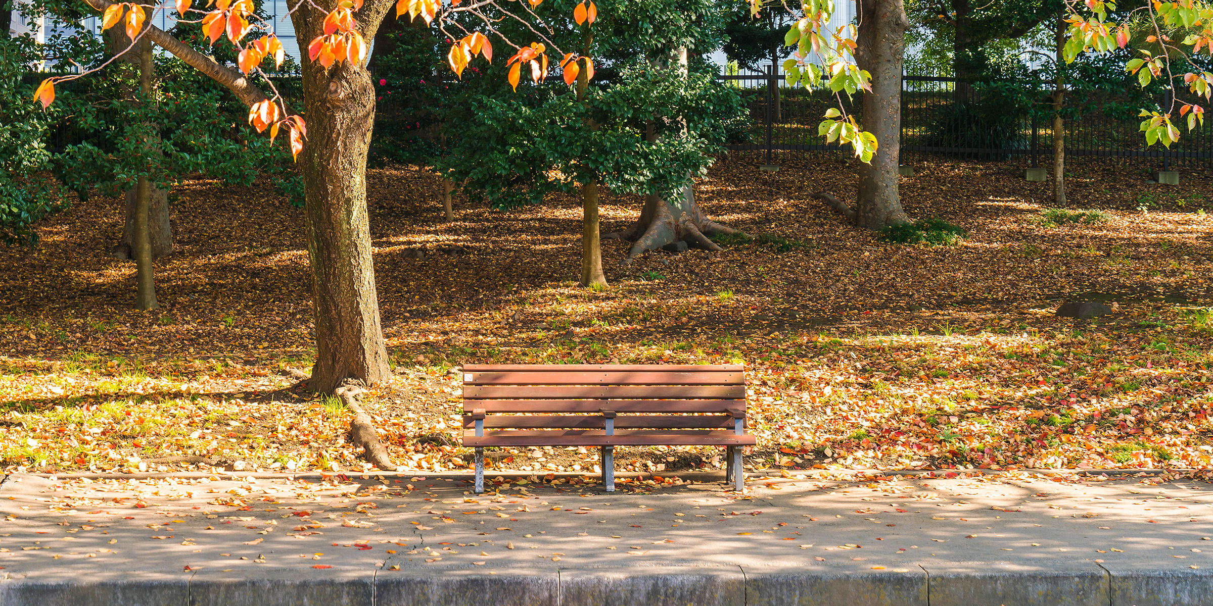 Un banc dans un parc pendant la saison d'automne | Source : Freepik