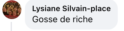 Commentaire d'internaute sur Lino | Source : Facebook@TPMP Addict