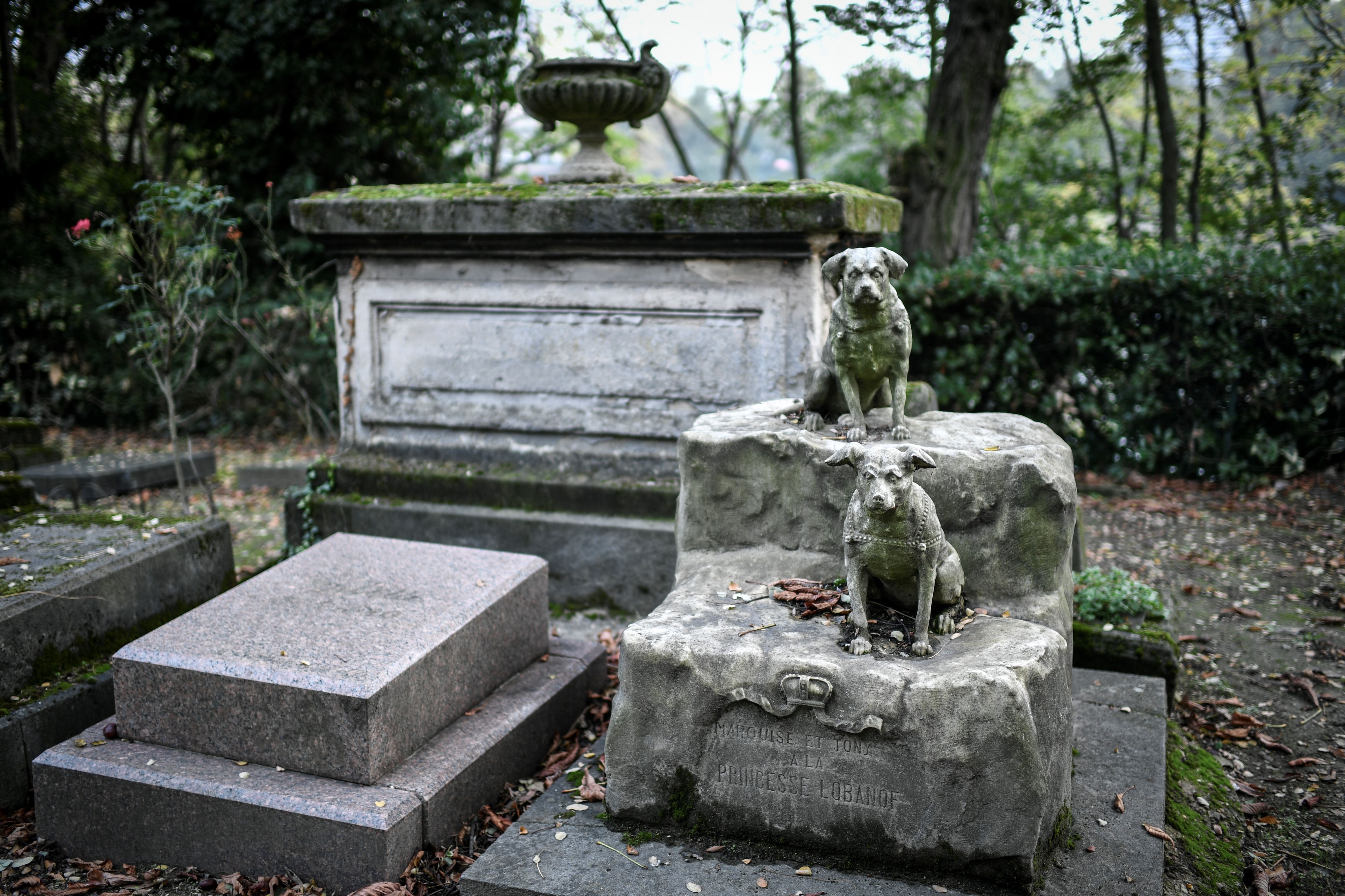 Une photo de tombes pour chiens dans un cimetière pour animaux à Asnieres-sur-Seine, en France, prise le 22 octobre 2019 | Source : Getty Images