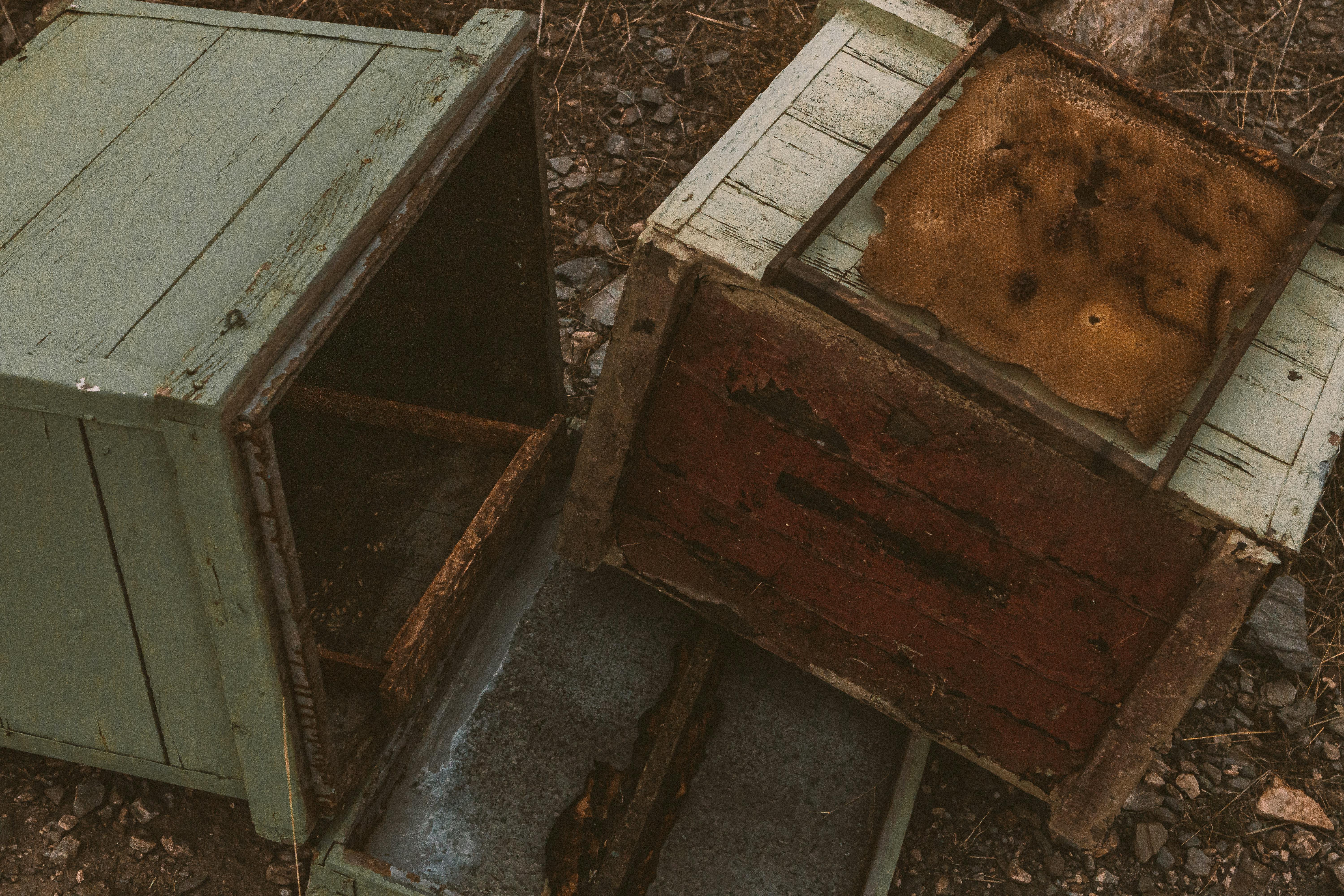 Ruches sur le sol | Source : Pexels