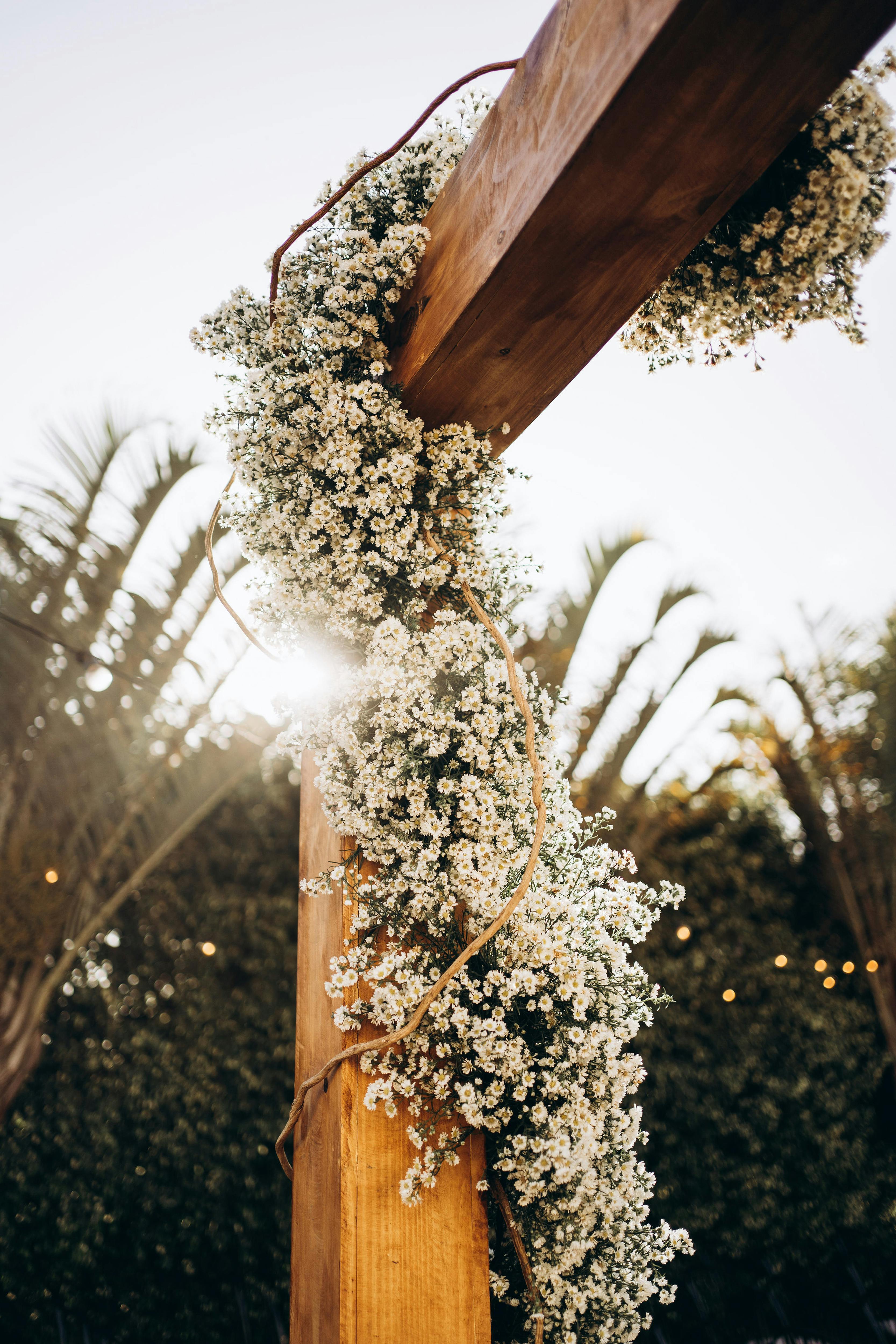 Une arche décorée | Source : Pexels