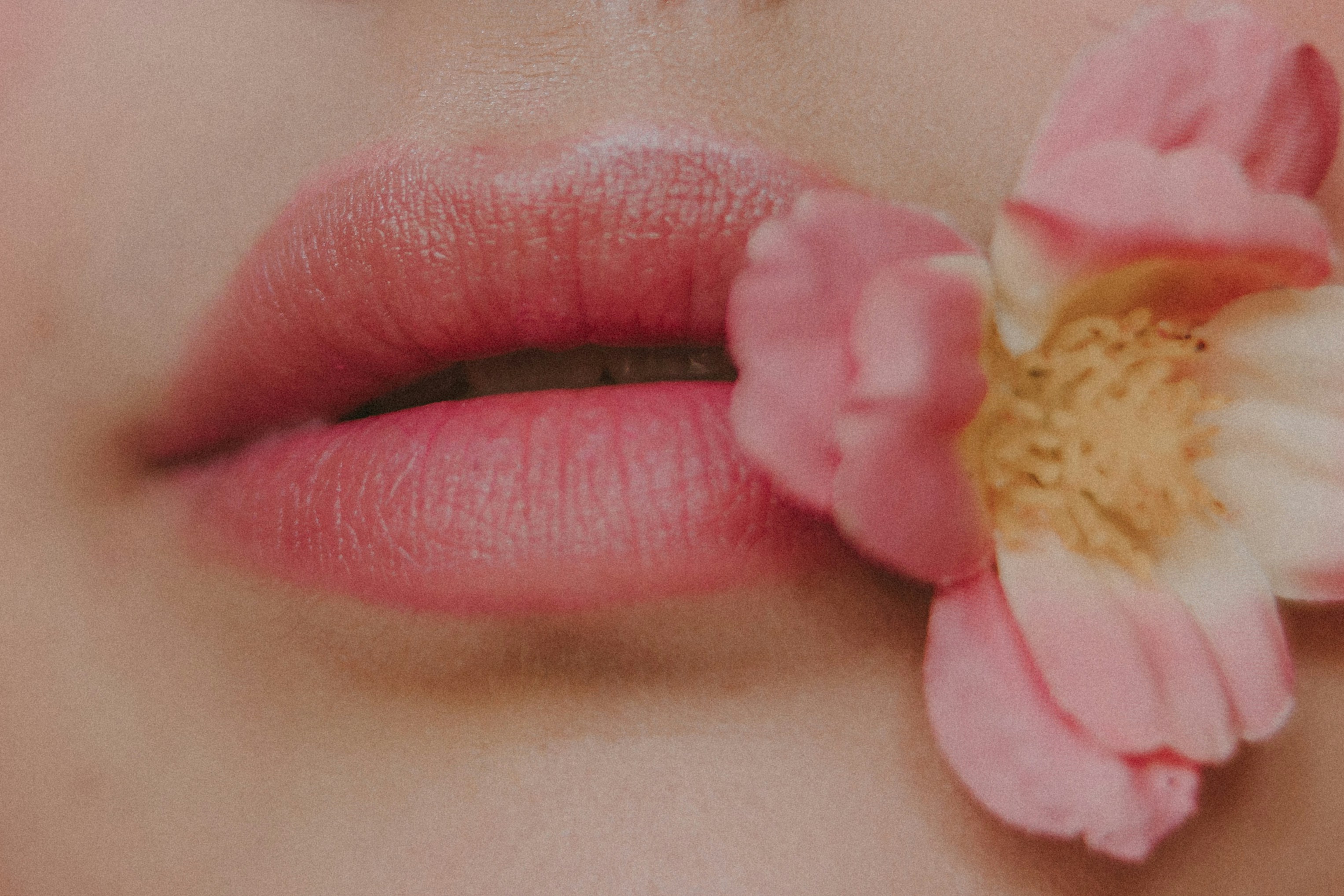 Rouge à lèvres rose pâle d'une femme | Source : Unsplash