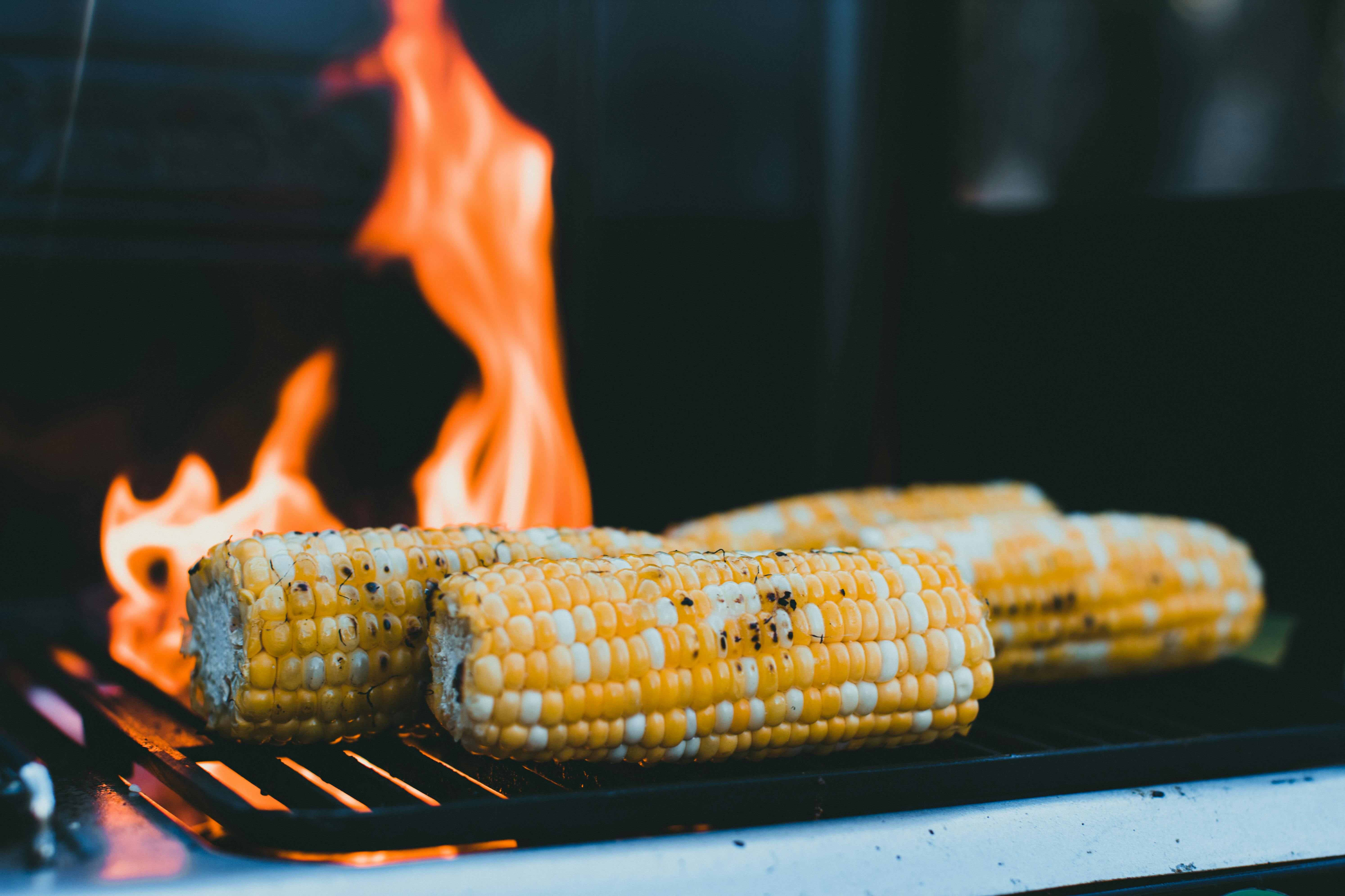 Maïs sur un gril | Source : Pexels