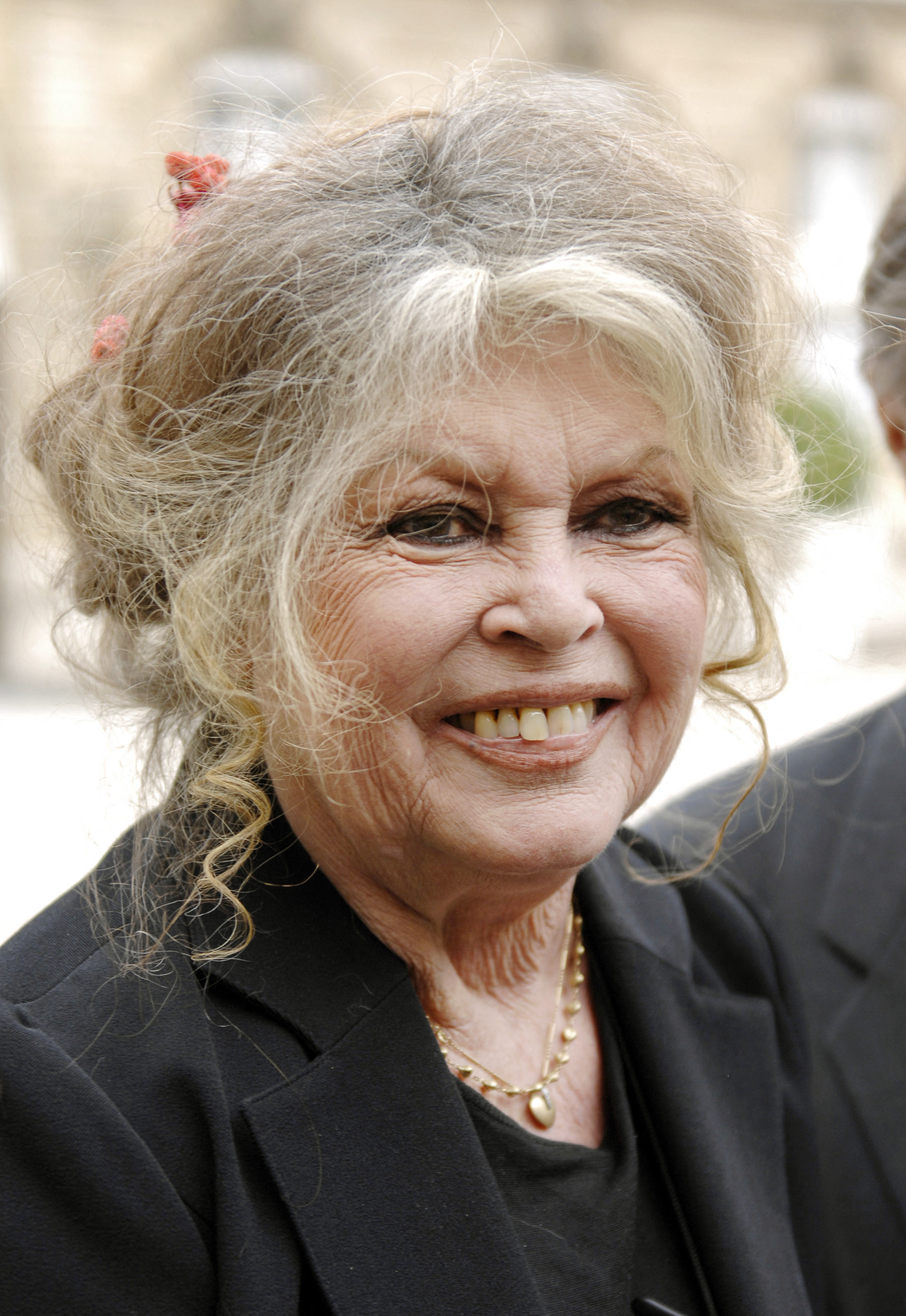 Brigitte Bardot au palais de l'Elysée à Paris, France, le 27 septembre 2007 | Source : Getty Images