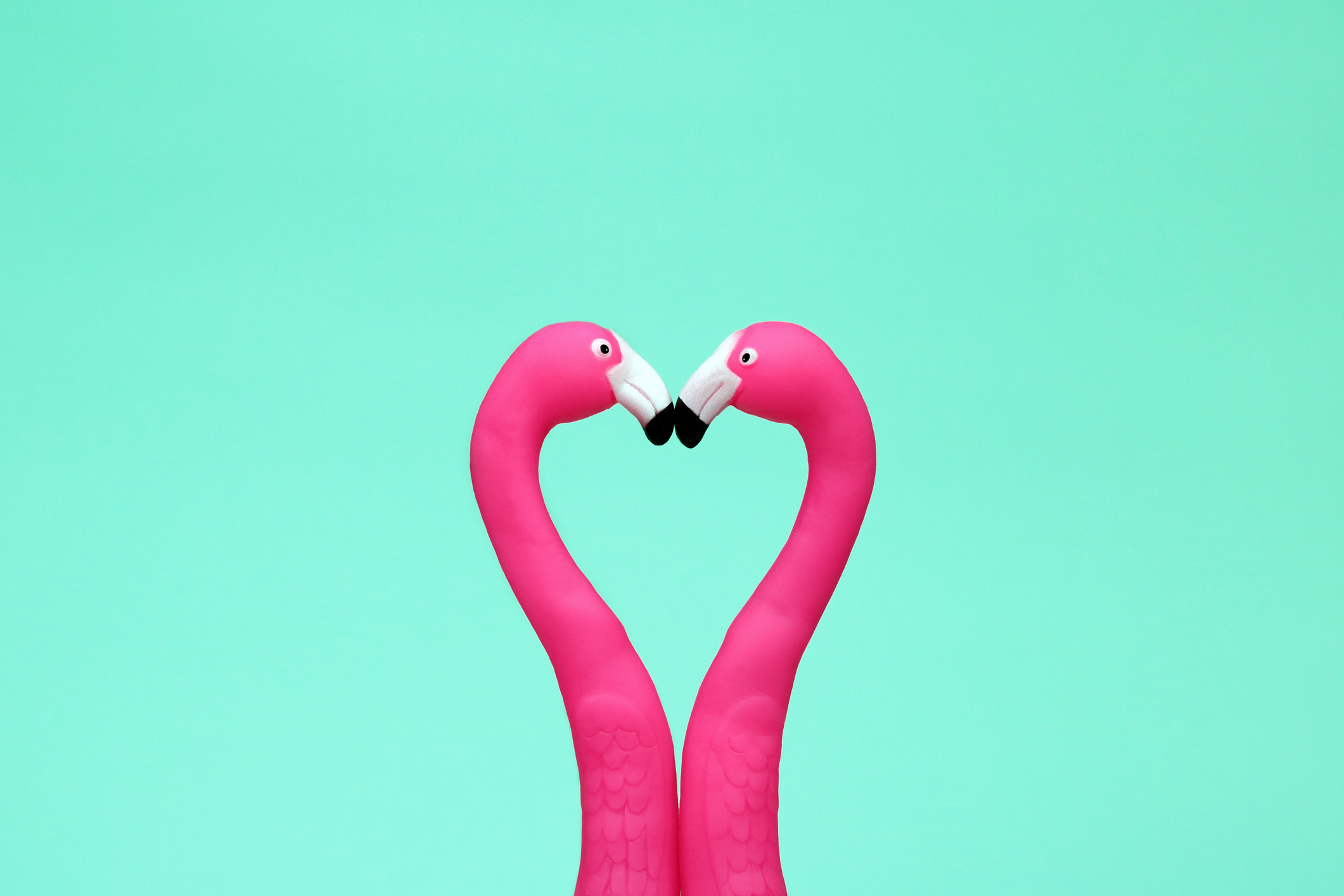 Deux flamants roses s'embrassant en forme de cœur I Source : Getty Images