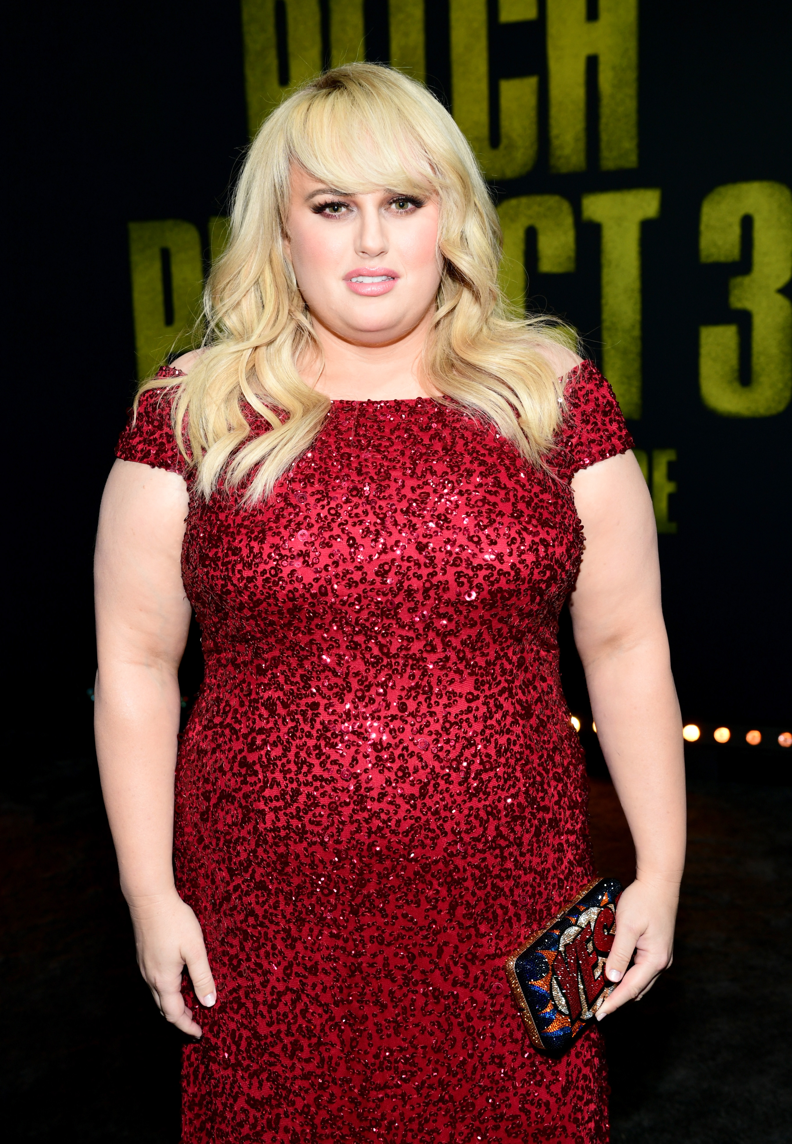 Rebel Wilson lors de la première de « Pitch Perfect 3 » le 12 décembre 2017 à Hollywood, en Californie. | Source : Getty Images