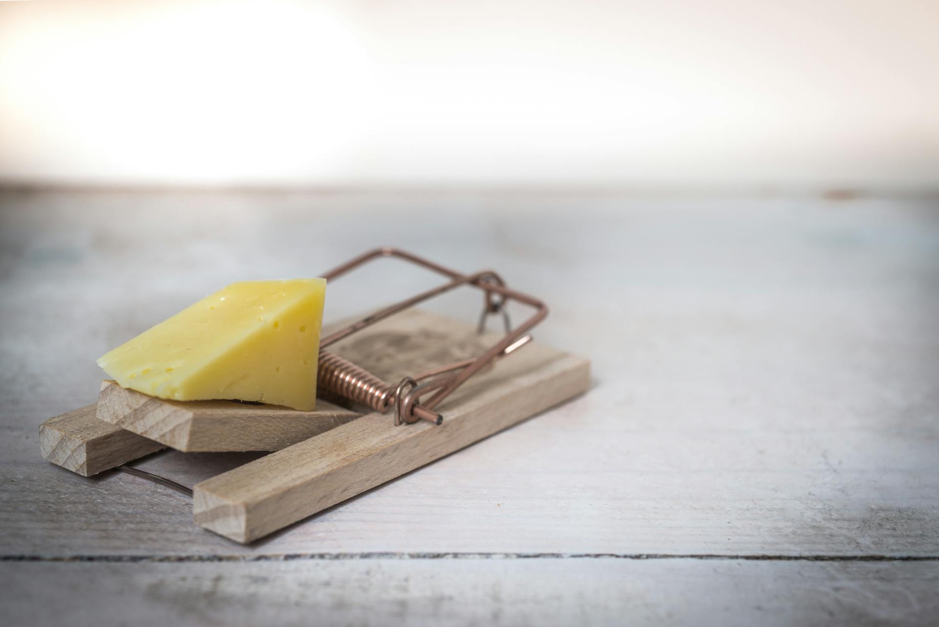 Un piège à rats | Source : Pexels