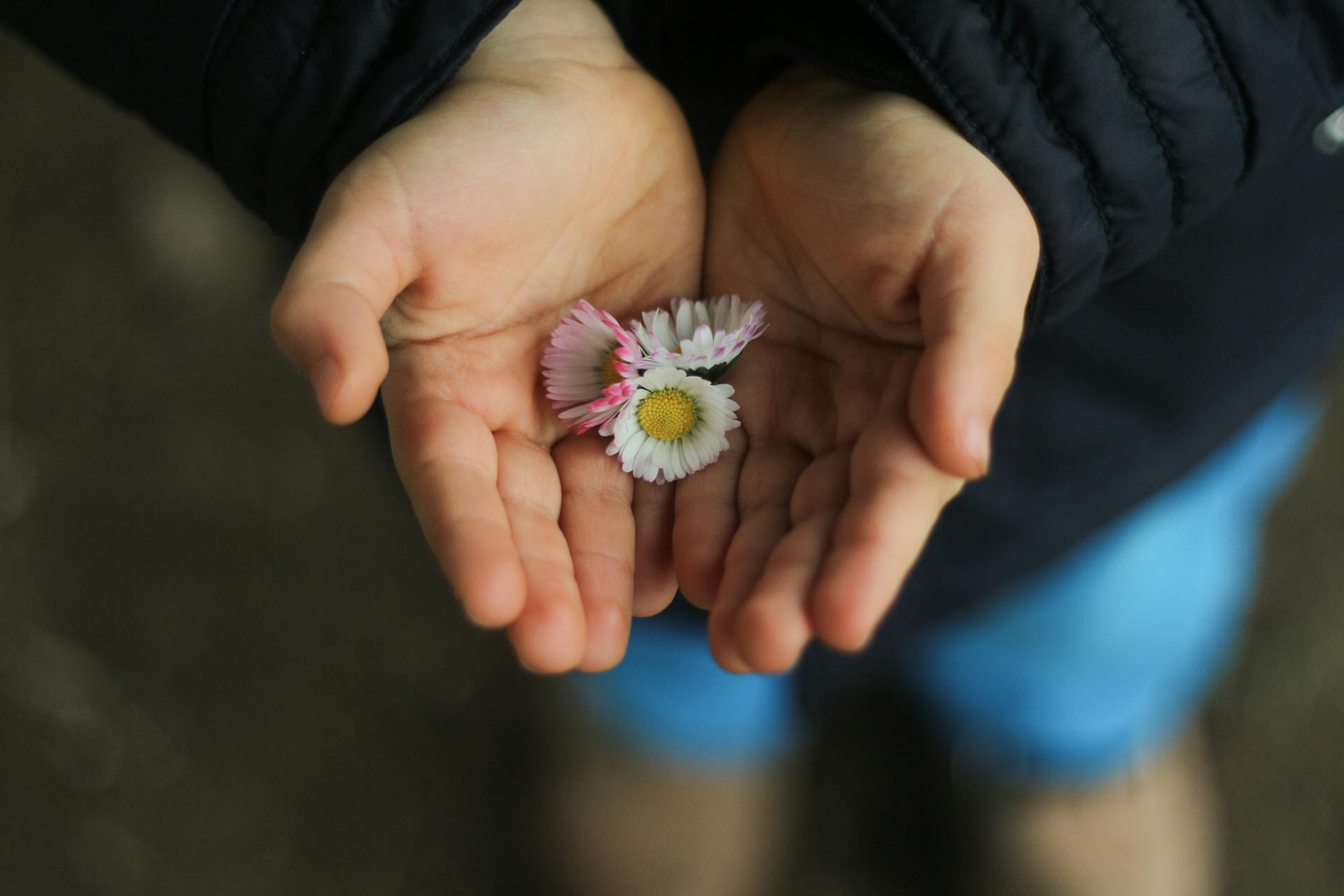 Un enfant tenant des fleurs | Source : Pexels