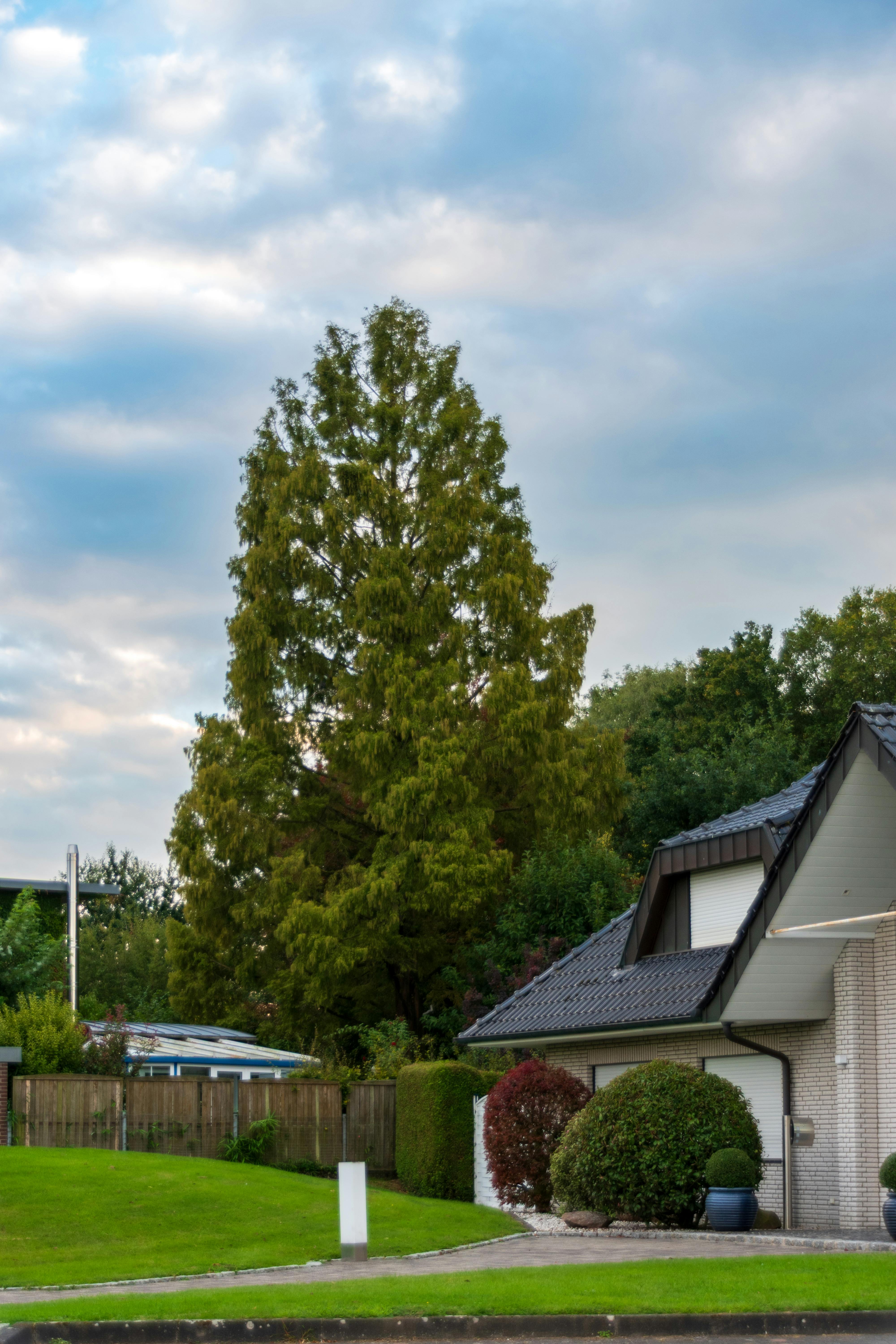 Une maison dans un beau quartier | Source : Pexels
