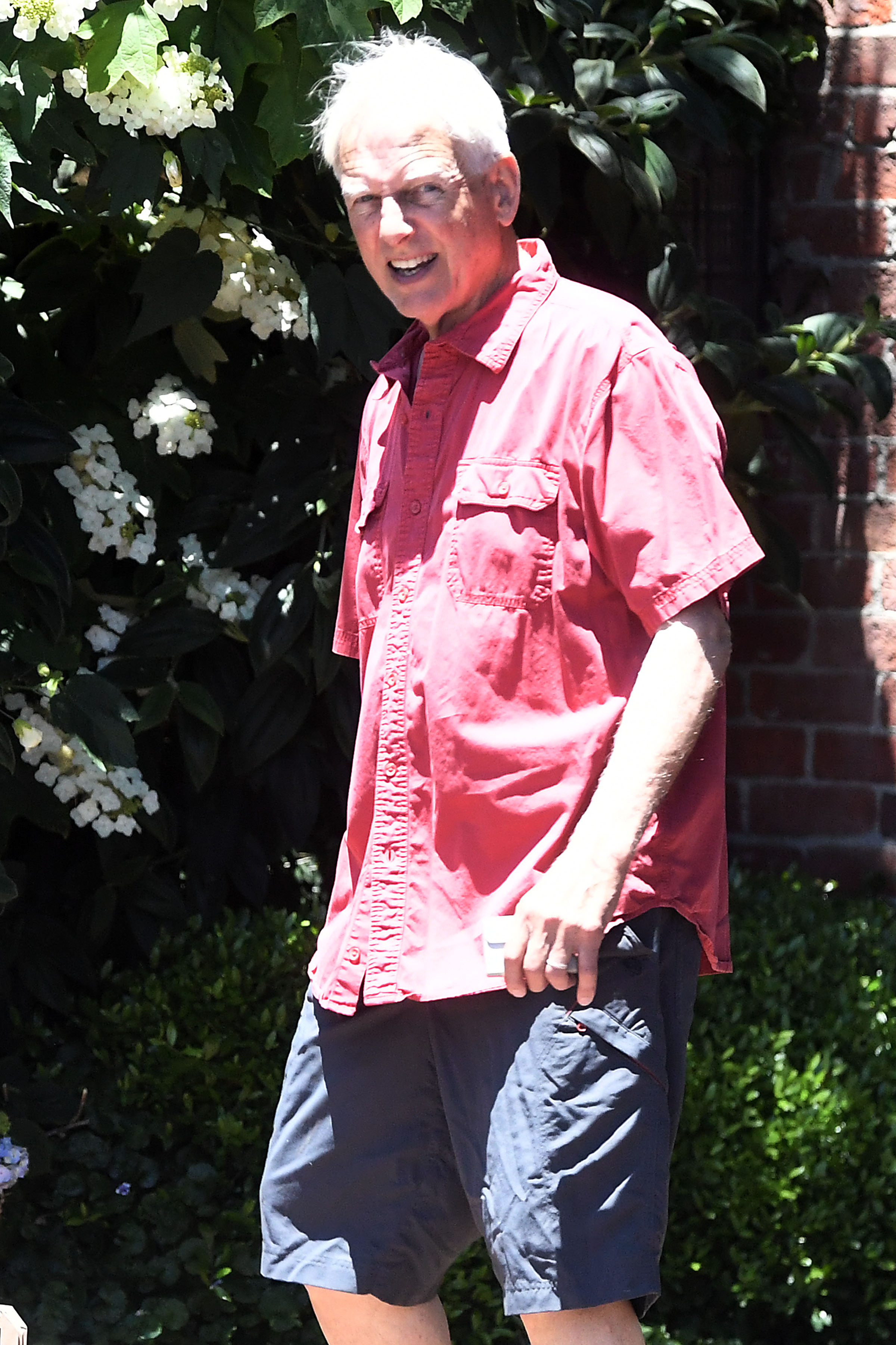 Mark Harmon photographié en train de faire ses courses le 22 juin 2024, à Los Angeles, en Californie. | Source : Getty Images