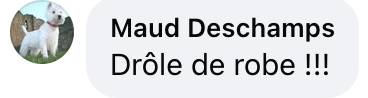 Capture d'écran du commentaire d'un internaute I Source : facebook.com/gala