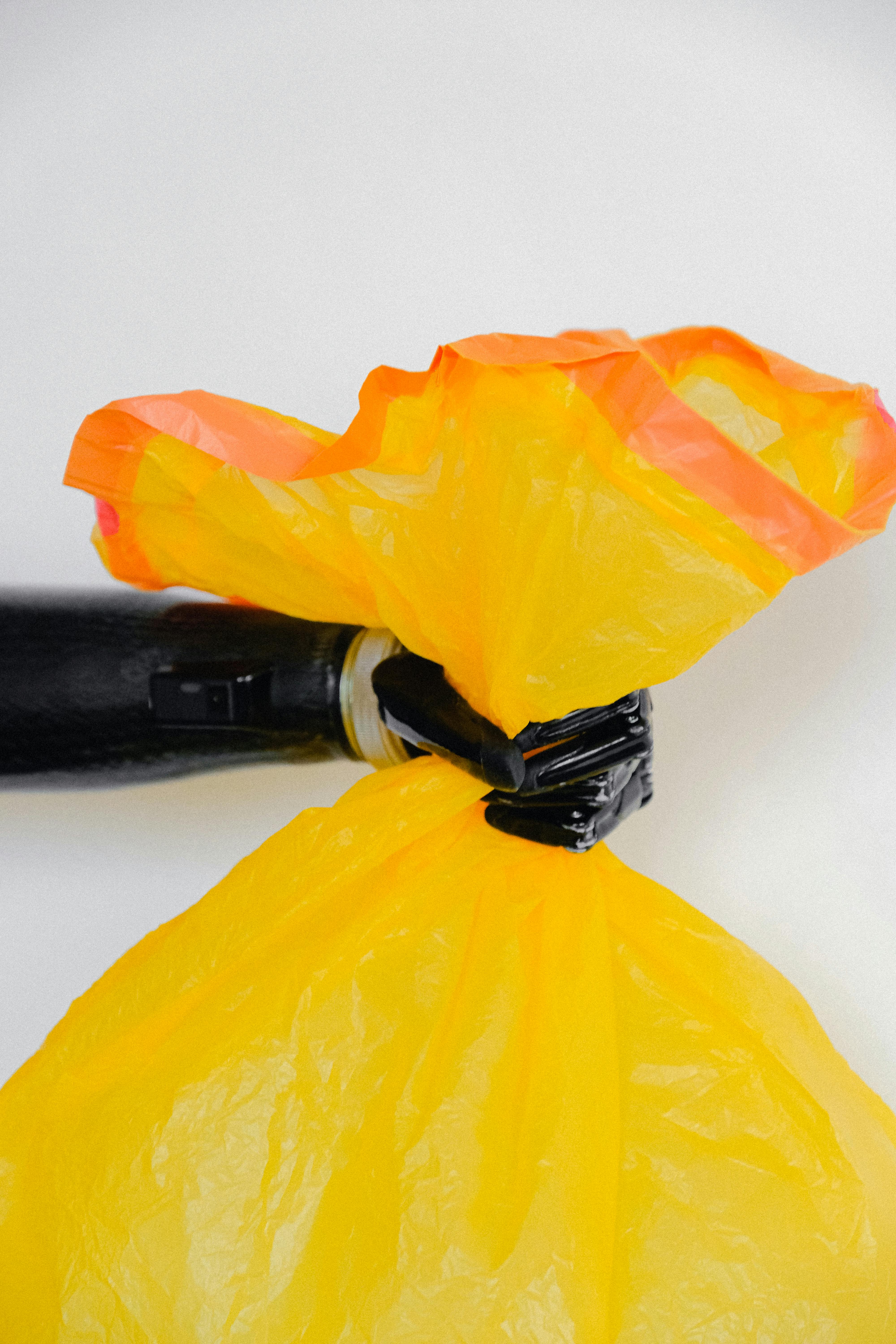 Une personne tenant un sac poubelle | Source : Pexels