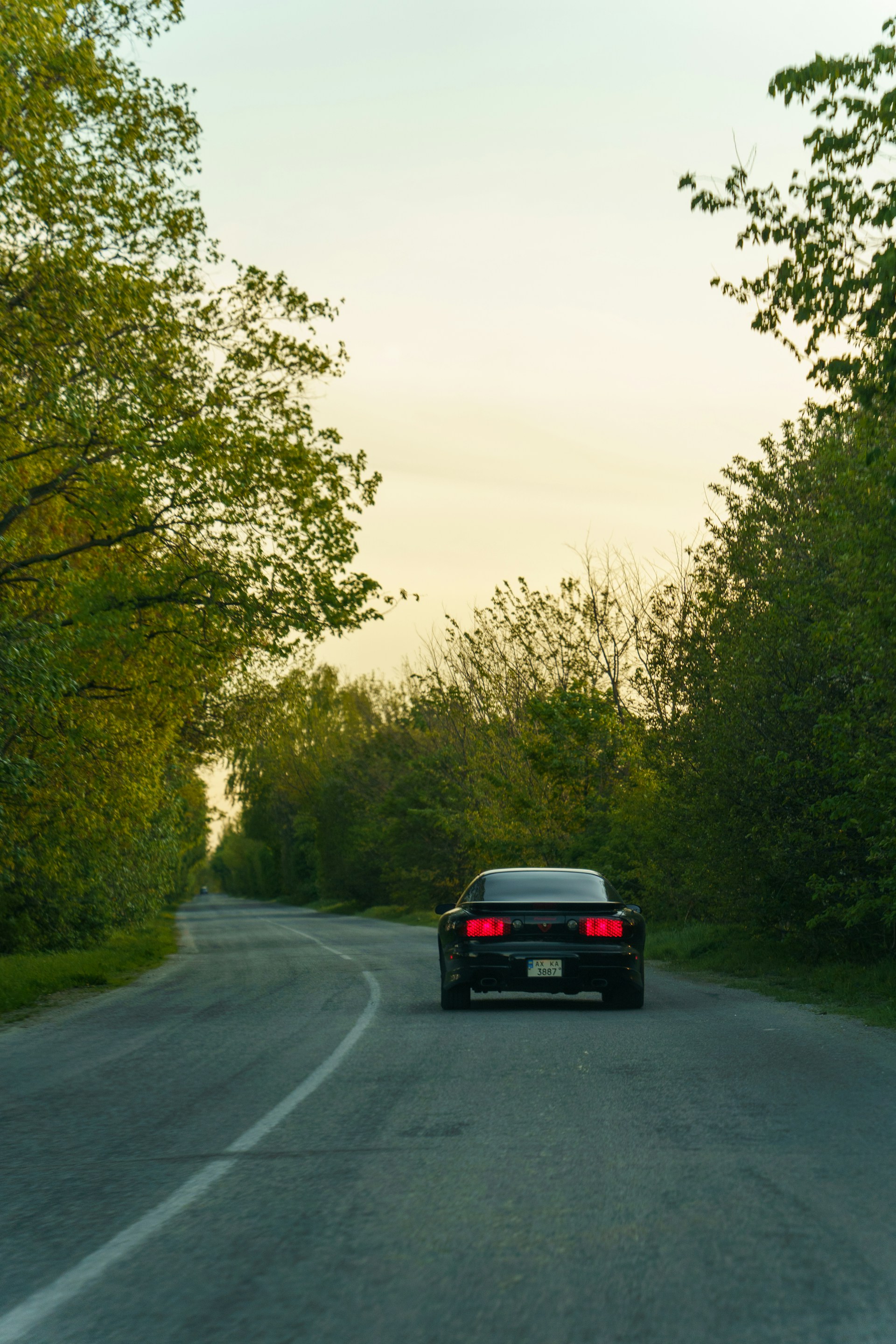 Une voiture sur une route bordée d'arbres | Source : Unsplash