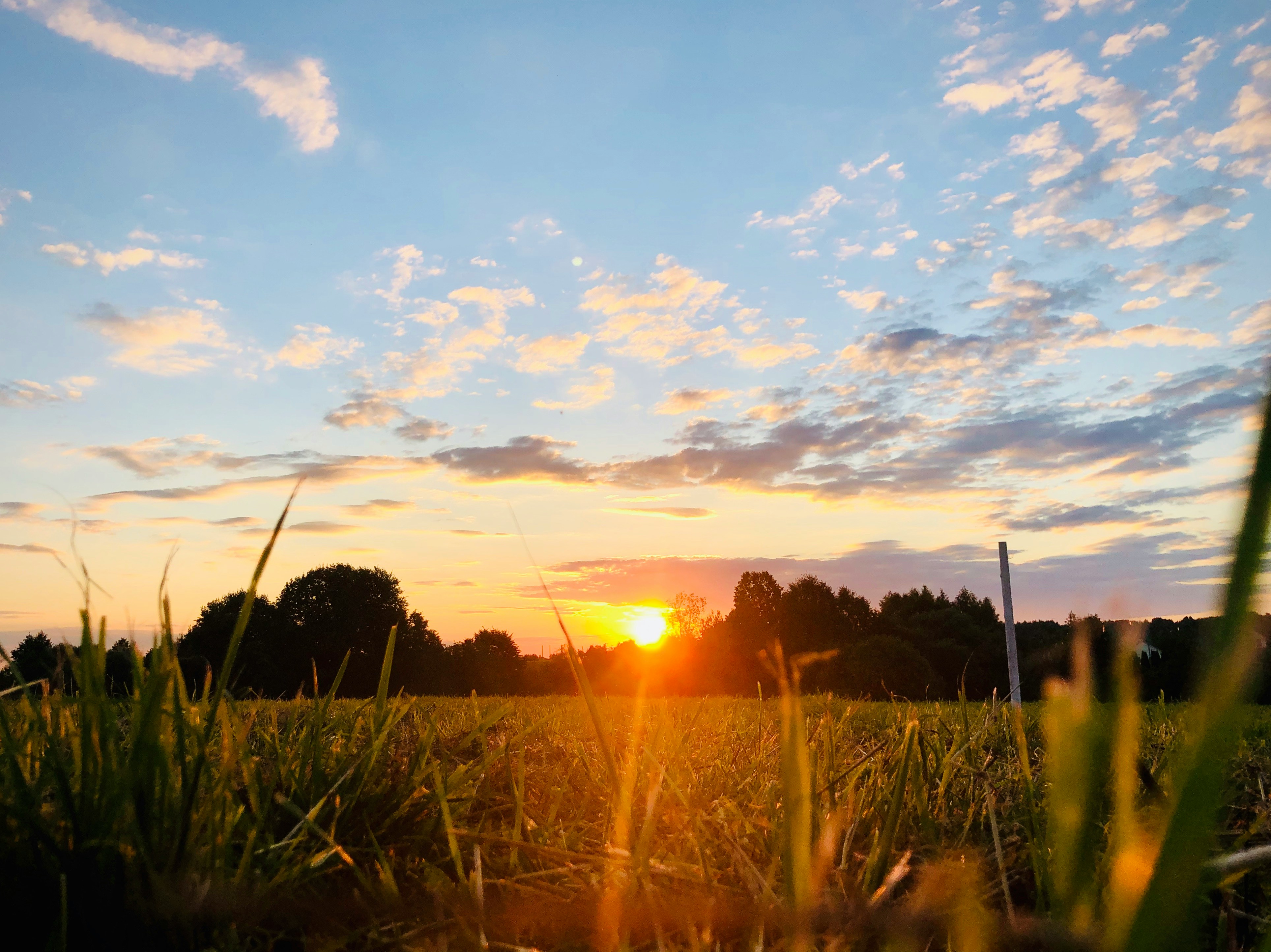Un beau paysage | Source : Unsplash