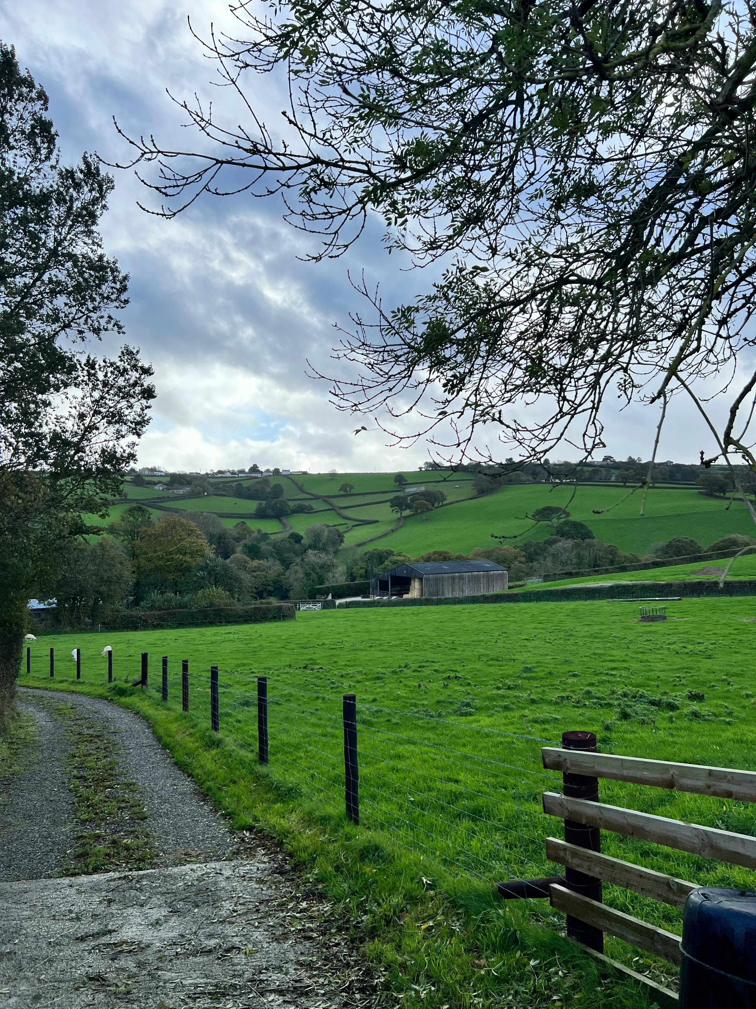 Une ferme | Source : Pexels