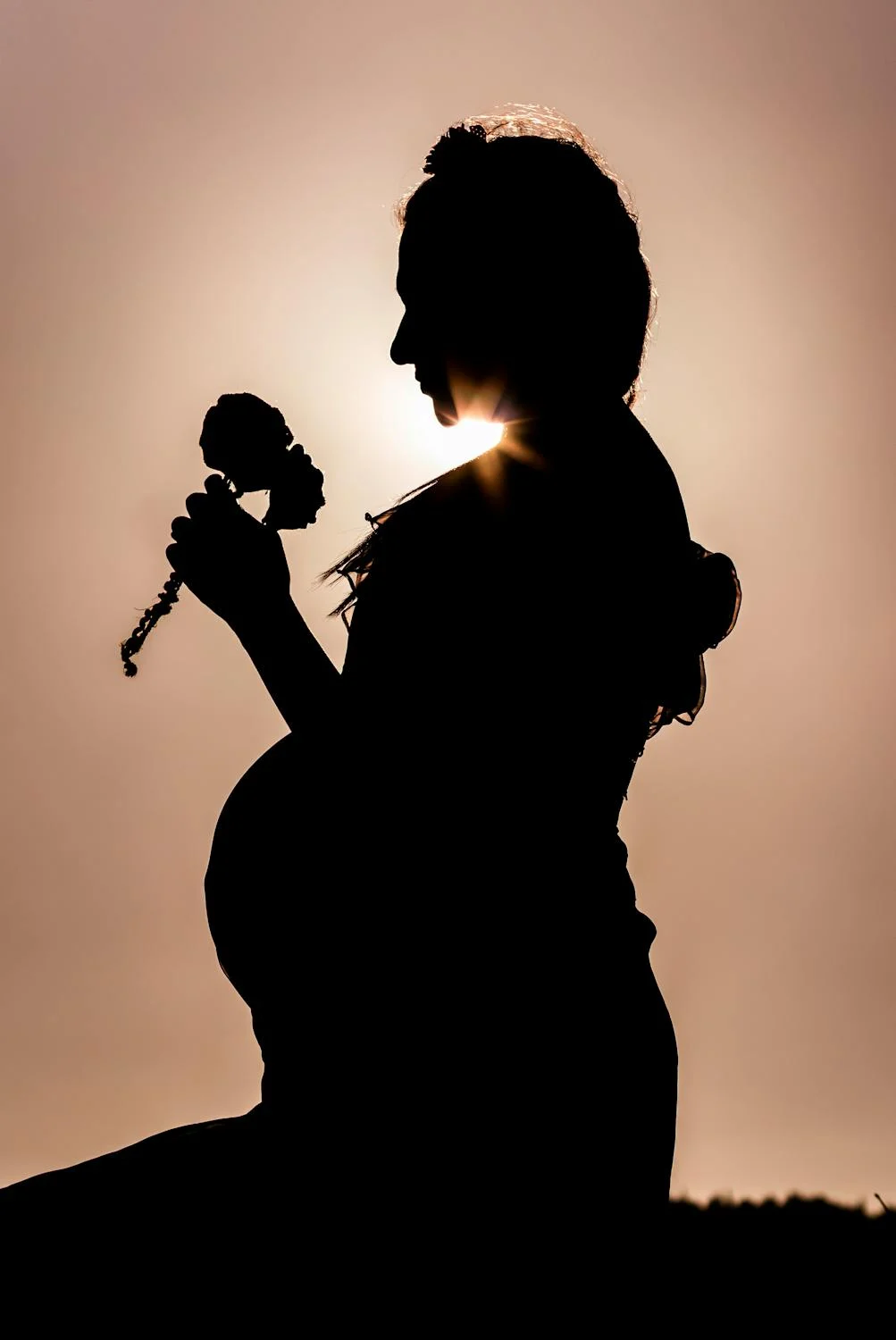 Silhouette d'une femme enceinte tenant des fleurs pendant le coucher du soleil | Source : Pexels