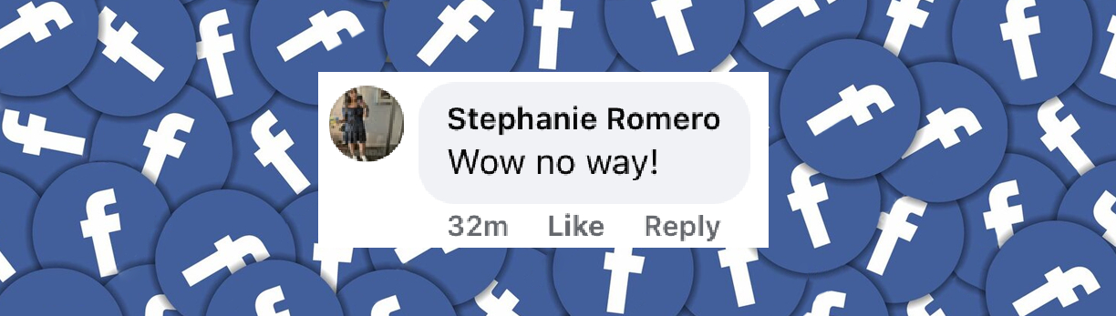 La réaction d'un internaute après que la famille de Diane Keaton a publié un communiqué sur la raison de son décès soudain, posté le 15 octobre 2025 | Source : Facebook/enews