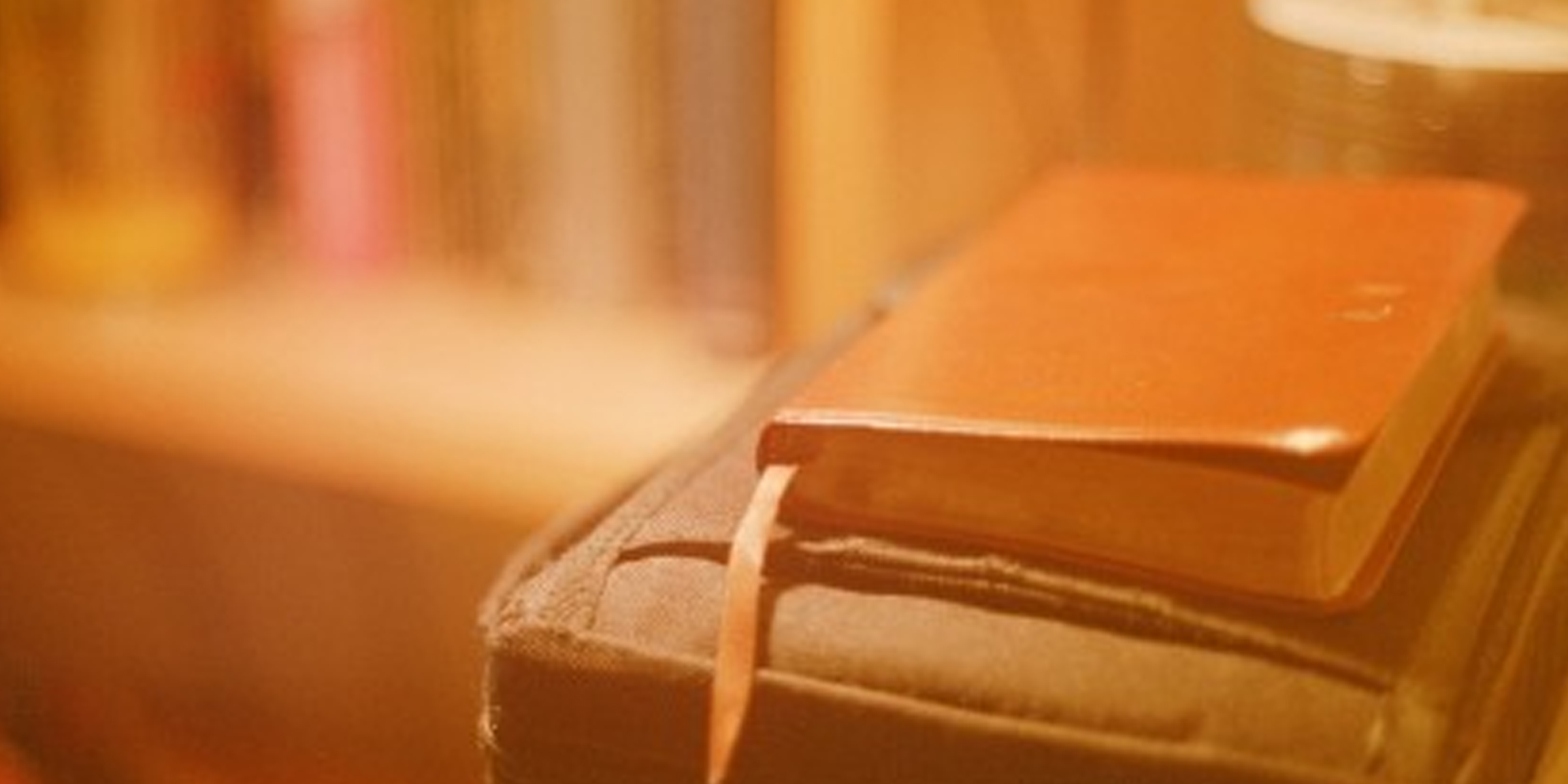 Un livre en cuir | Source : Flickr(CC BY-SA 2.0)