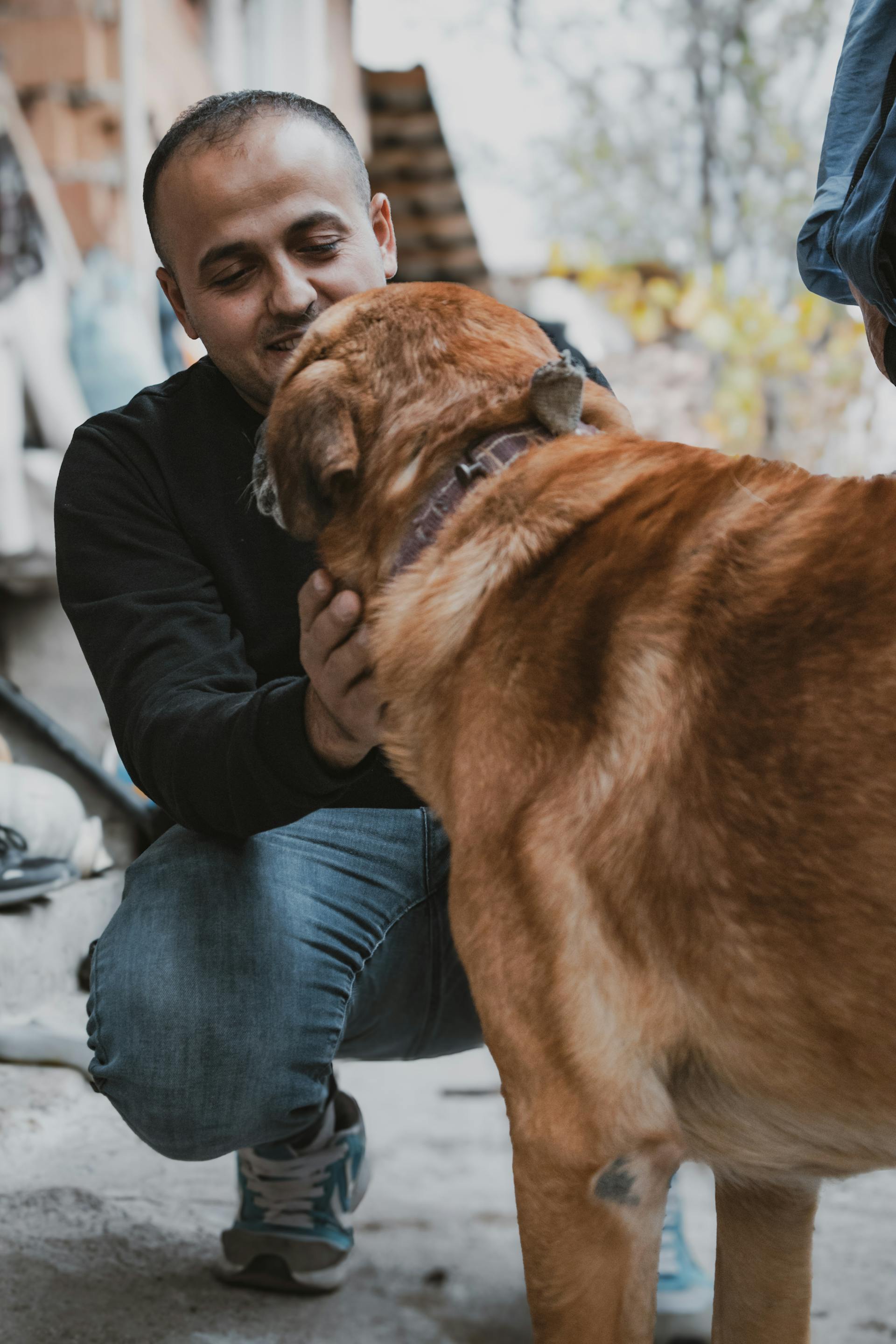 Un homme qui s'accroupit et caresse un chien | Source : Pexels