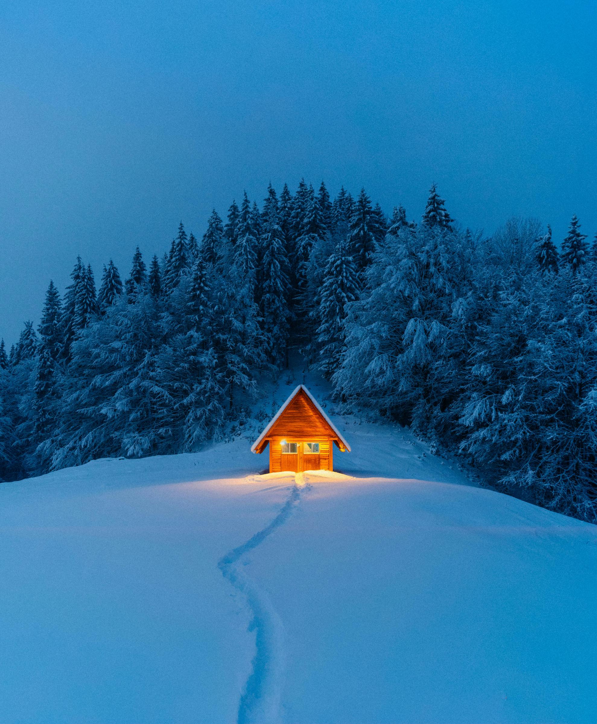 Une cabane dans les bois pendant une chute de neige | Source : Pexels
