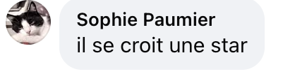 Commentaire d'internaute sur Lino | Source : Facebook@TPMP Addict