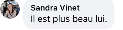 Commentaire d'internaute sur les photos d'Adriana Karembeu et Ricky Whittle | Source : capture facebook.com/closerfrance