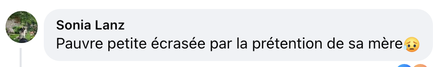 Commentaire d'un internaute | Source : Facebook/Paris Match
