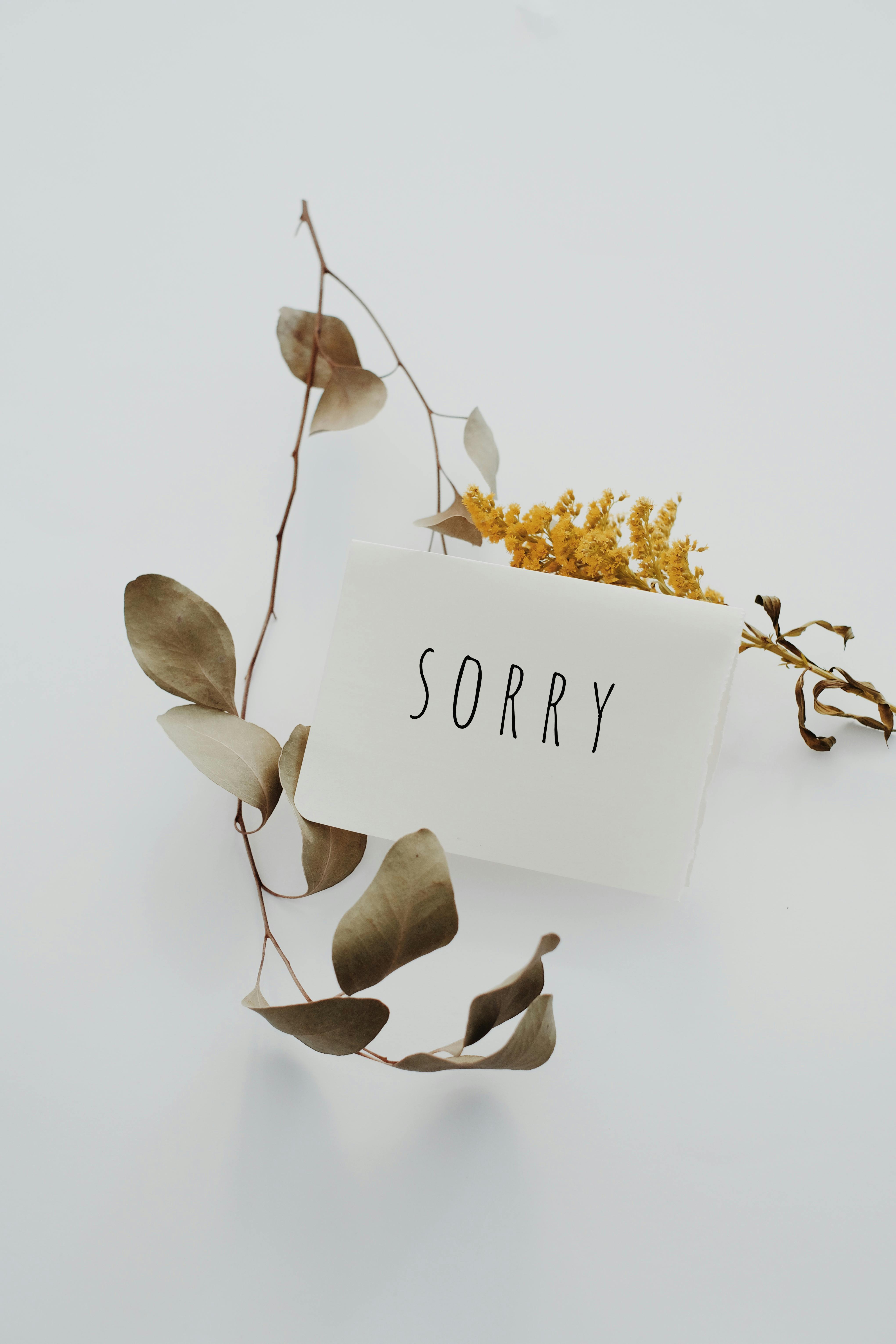 Une lettre désolée | Source : Pexels
