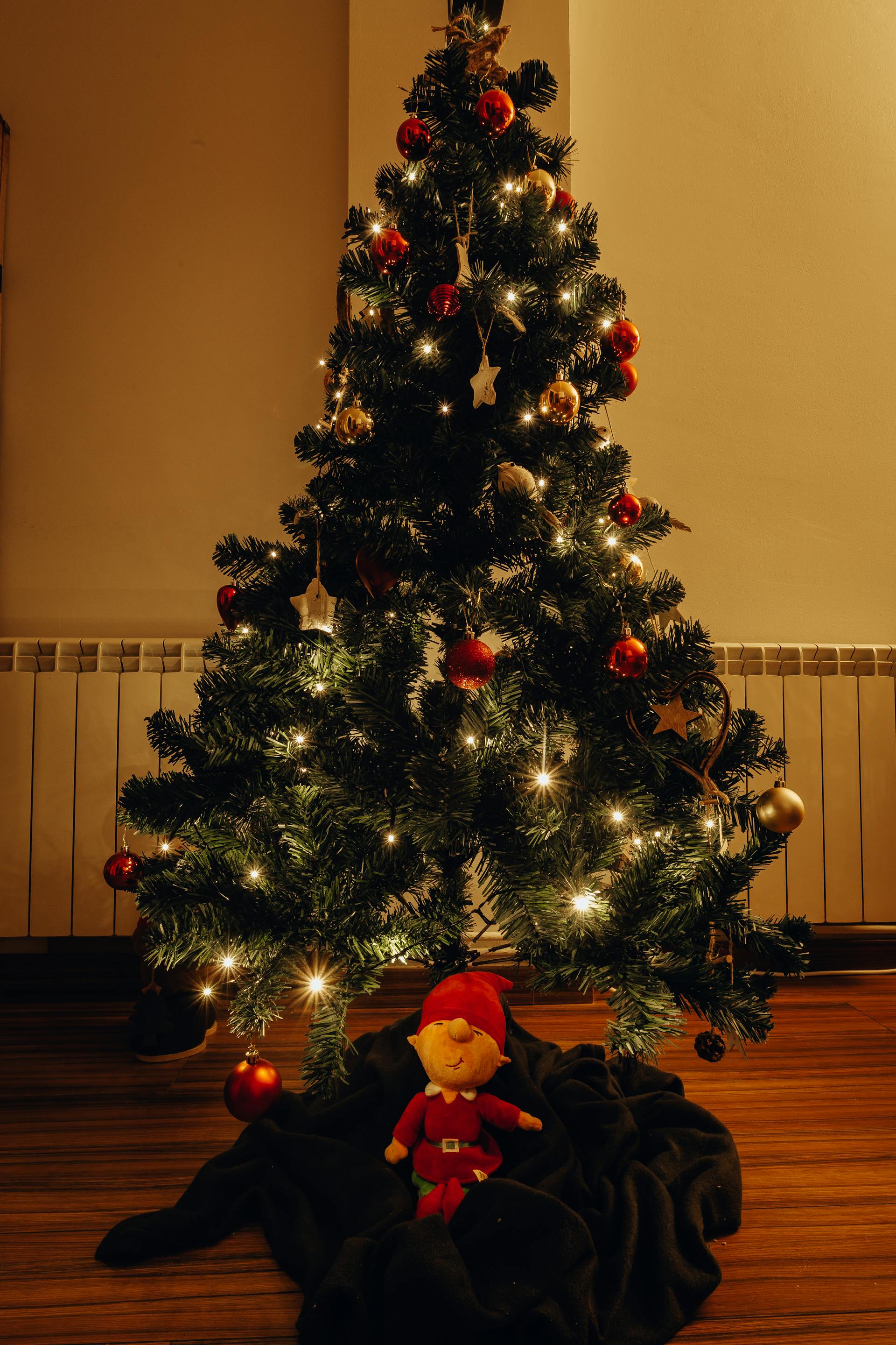 Un arbre de Noël | Source : Pexels