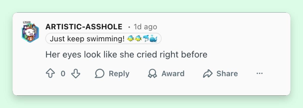 Commentaire d'un internaute sur la visite d'Angelina Jolie en Chine | Source : Reddit