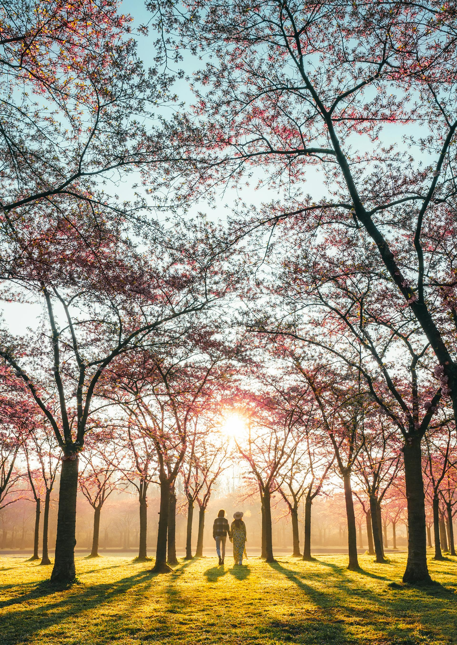 Un couple se promenant dans un parc | Source : Pexels