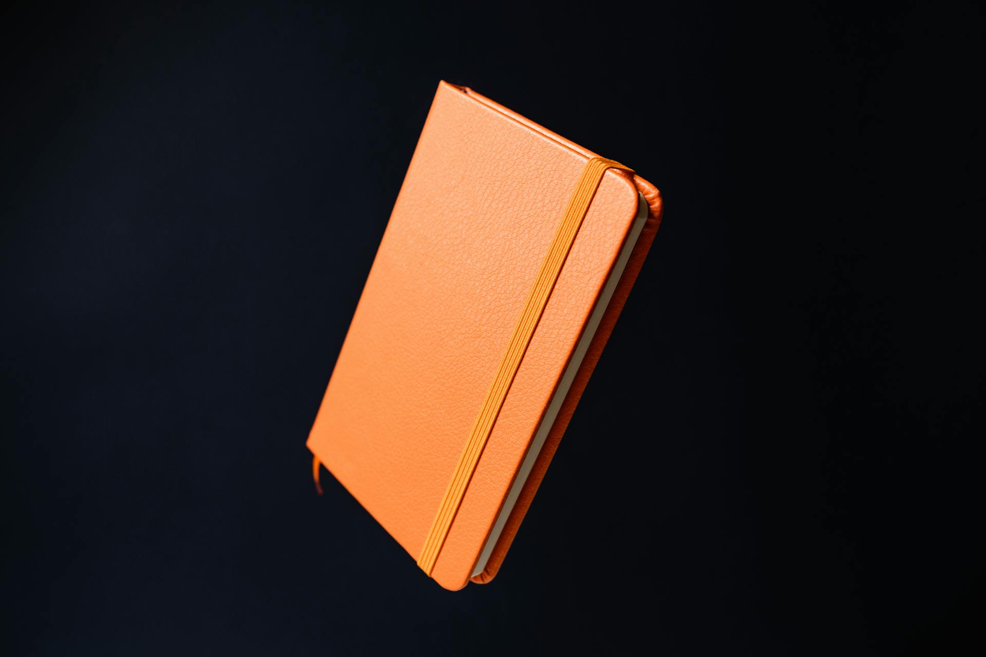 Un journal relié en cuir | Source : Pexels