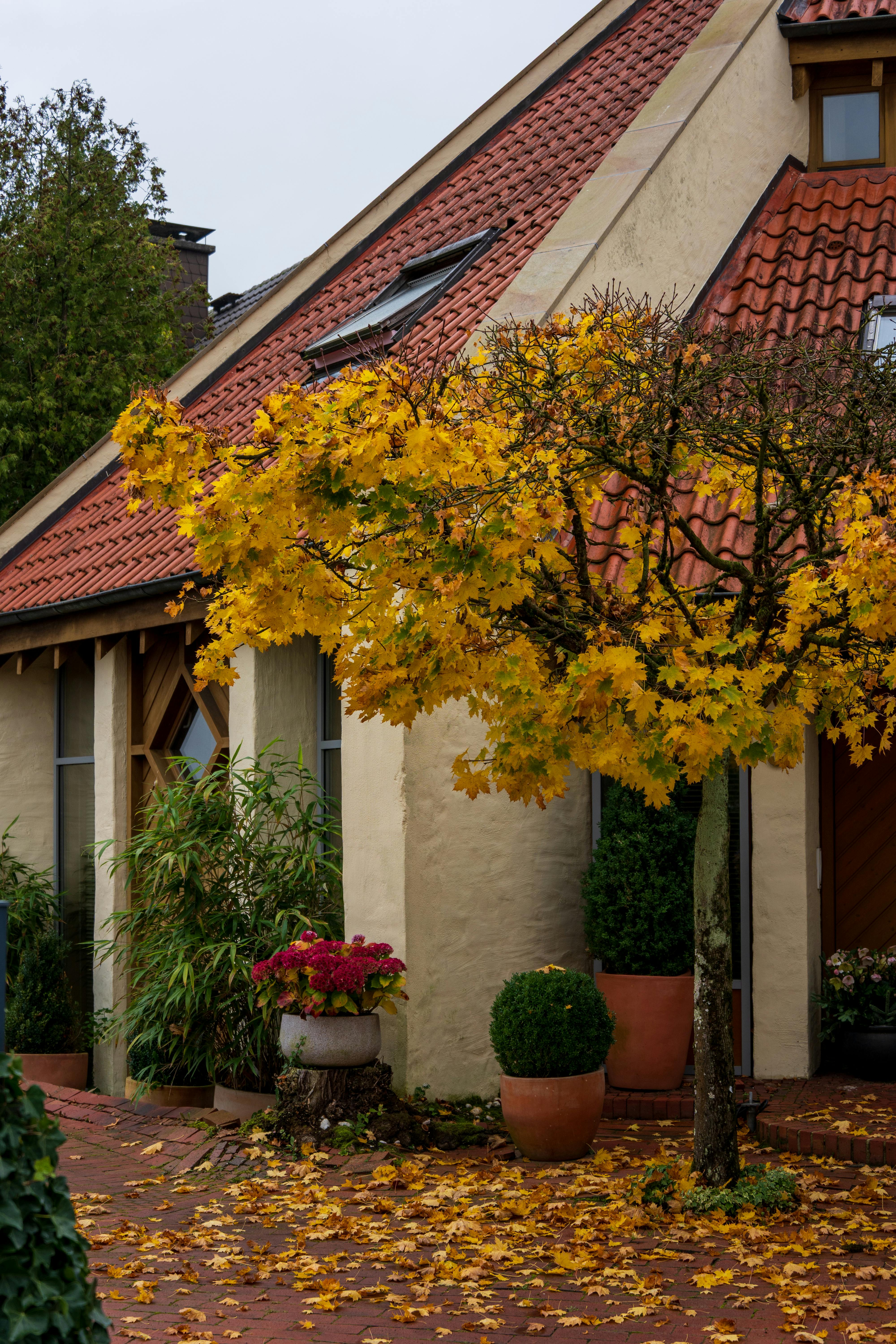 Une maison tranquille | Source : Pexels