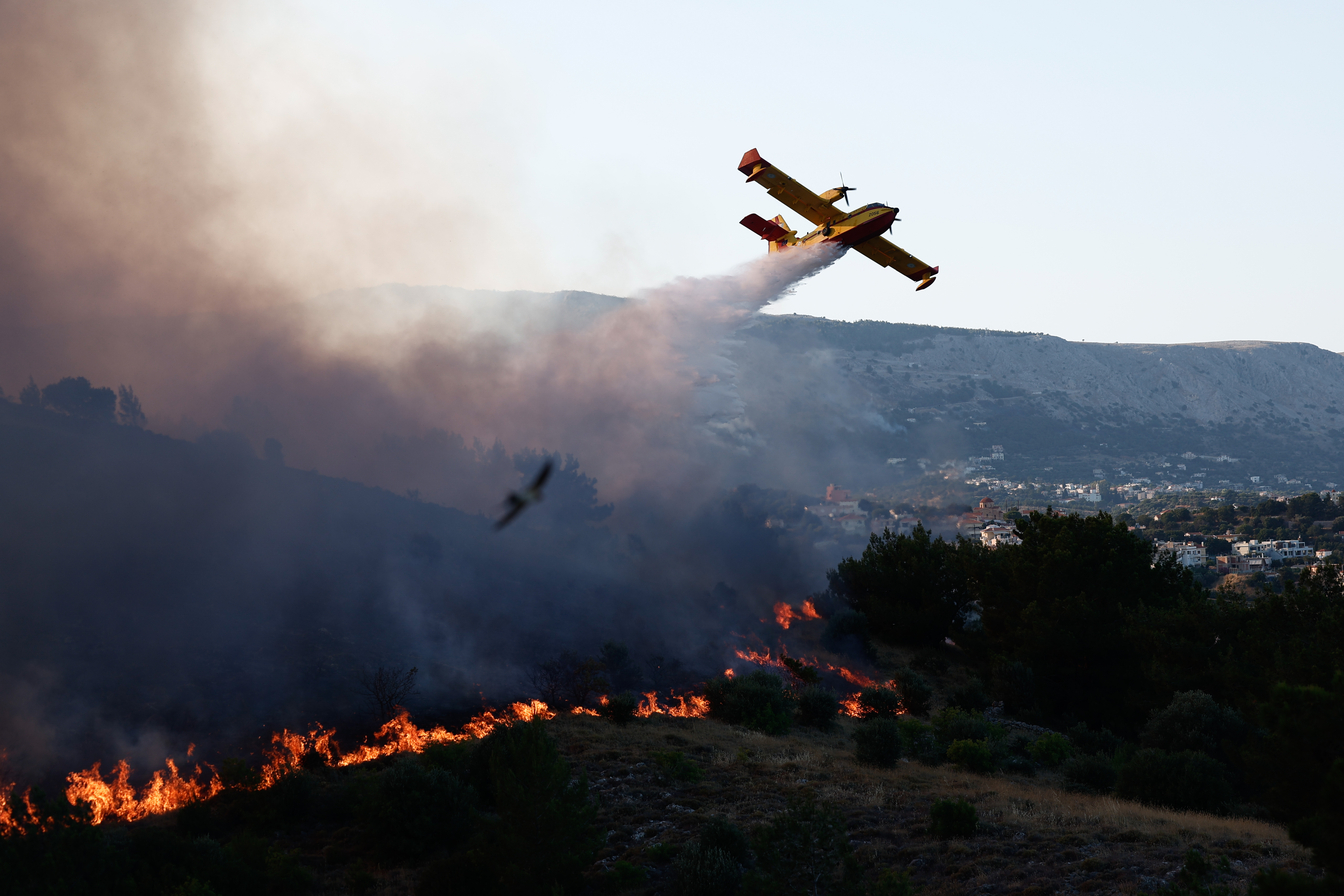 De la fumée s'élève alors que les pompiers interviennent sur l'incendie qui s'est déclaré à Chios, en Grèce, le 22 juin 2025 I Source : Getty Images