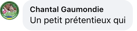 Commentaire d'internaute sur Lino | Source : Facebook@TPMP Addict