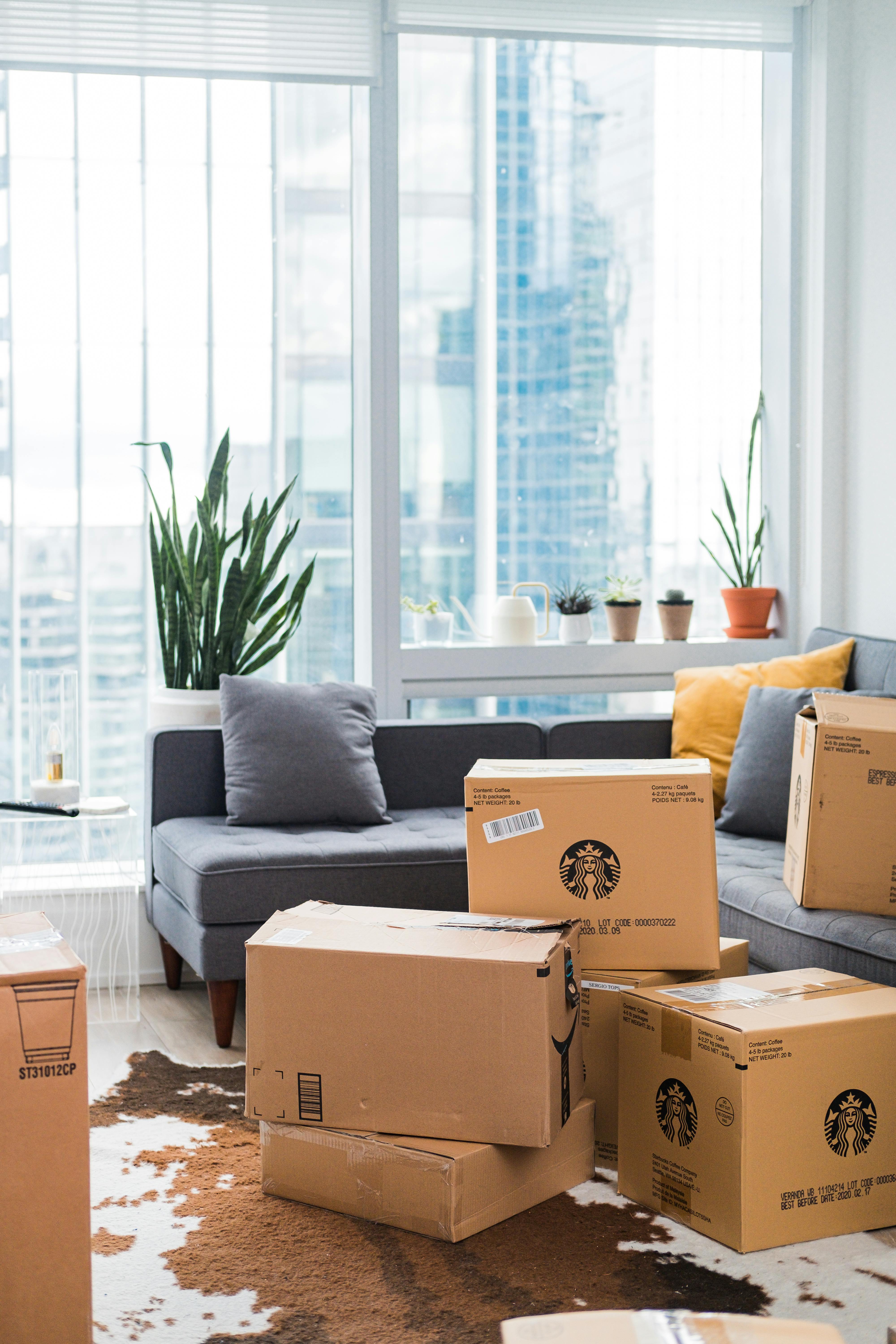 Boîtes en carton dans un salon | Source : Pexels