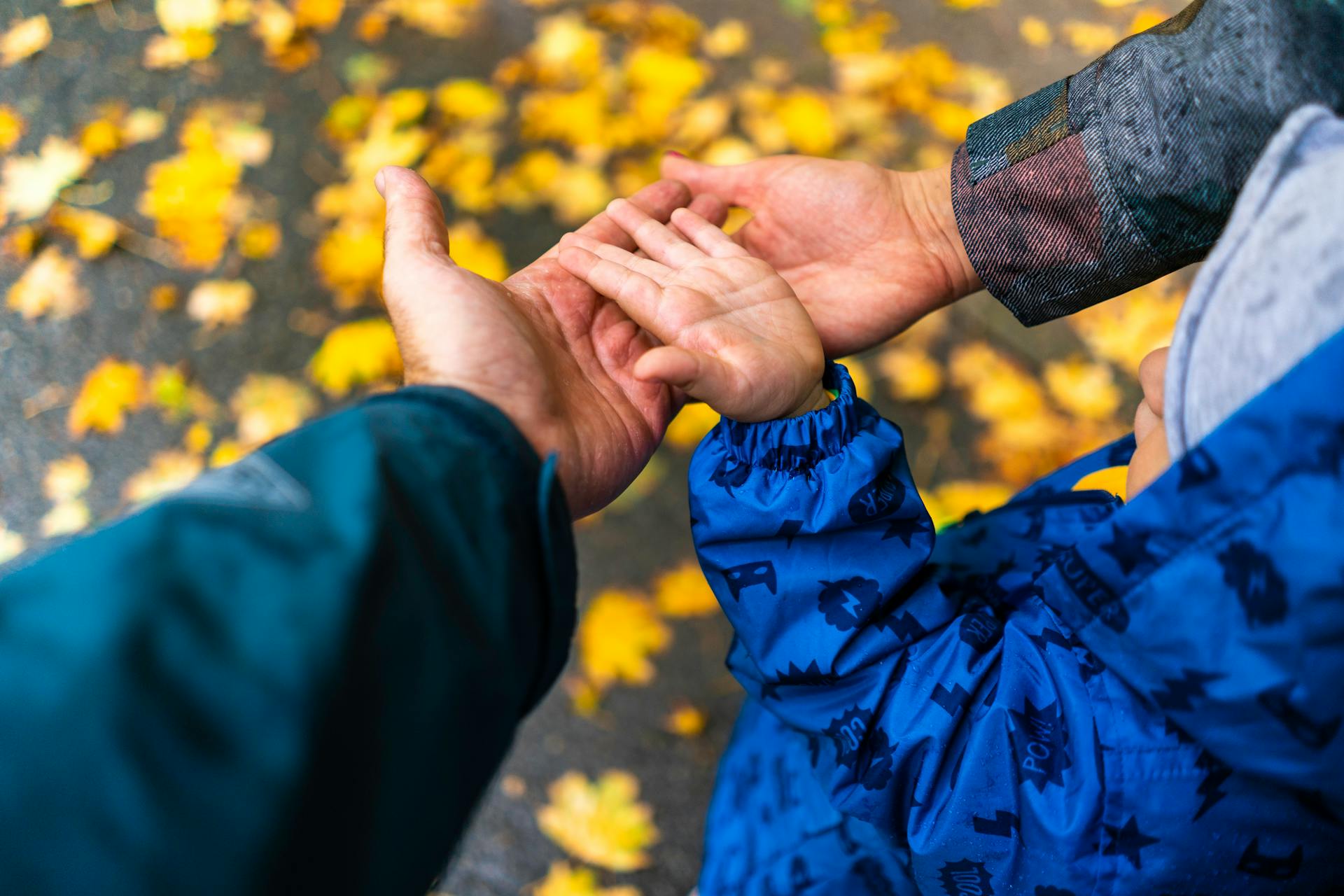 Une famille se tenant par la main | Source : Pexels