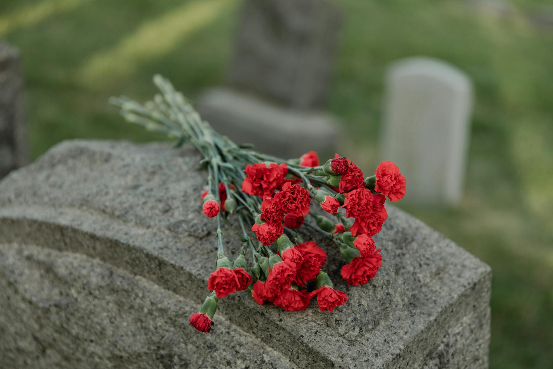 Œillets rouges sur une pierre tombale | Source : Pexels
