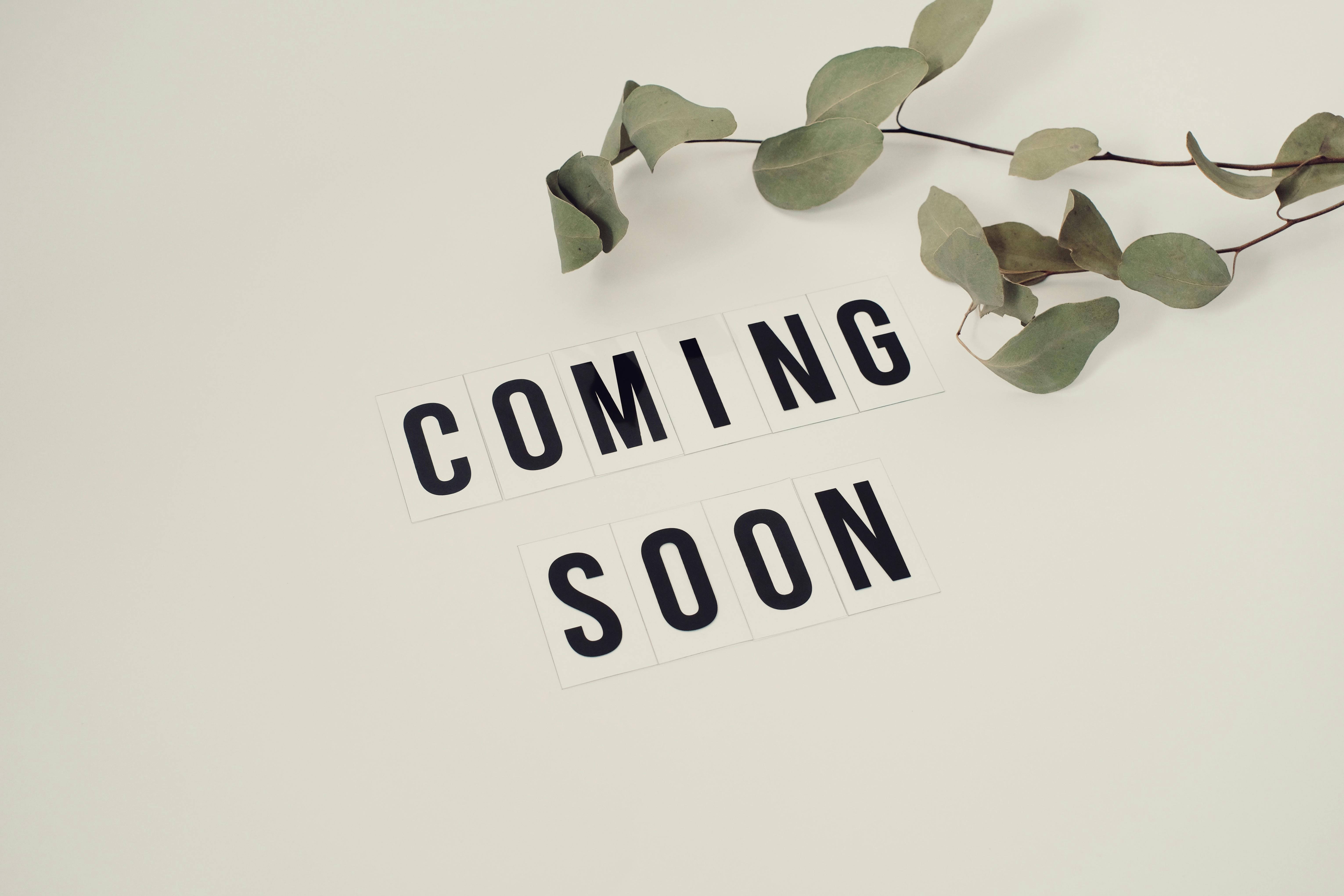 À des fins d'illustration uniquement | Source : Pexels